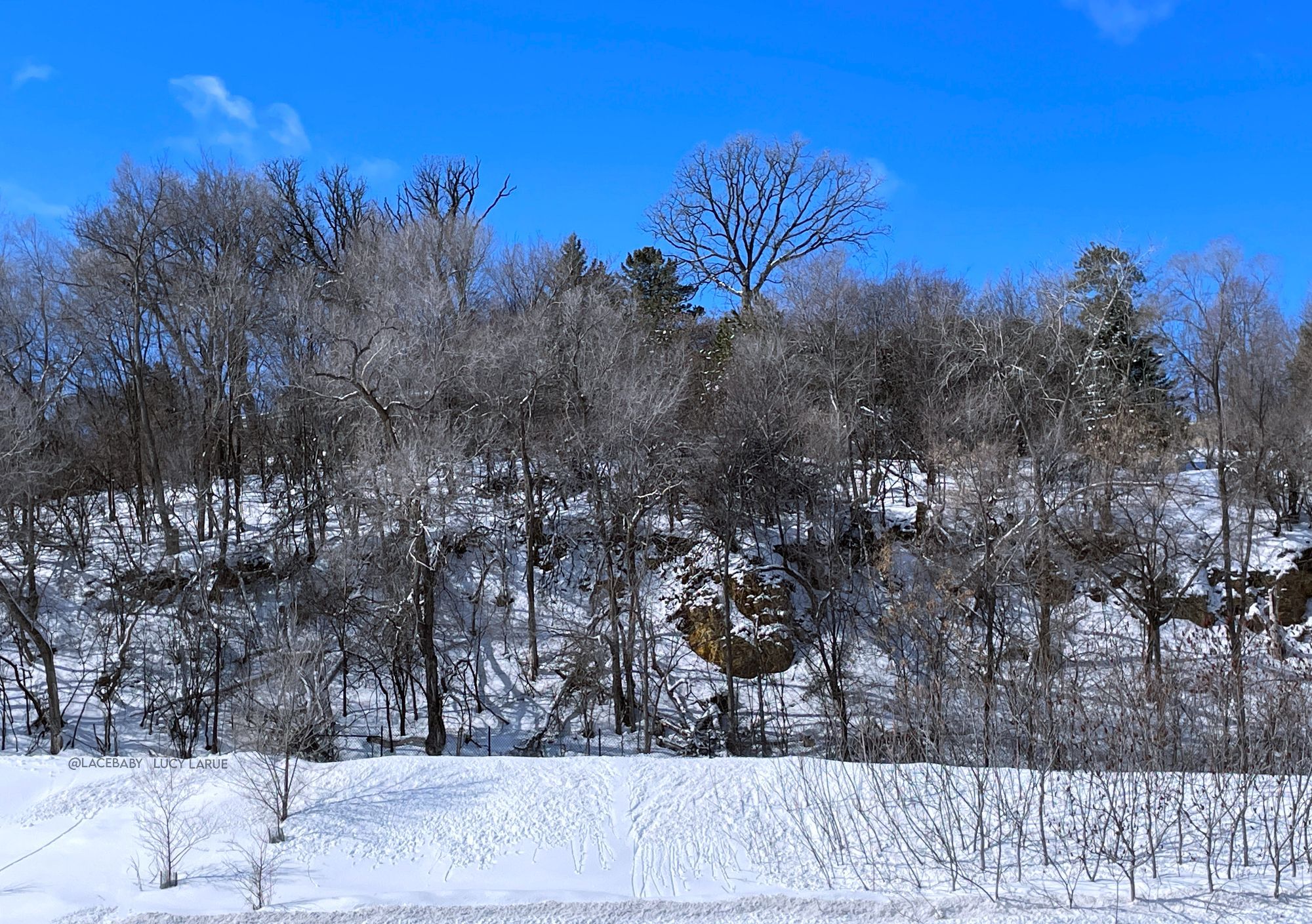 A faraway tree-covered bluff after a snowfall. The branches have shaken the snow off which has rolled down the slope leaving little trails  in the blanket of snow