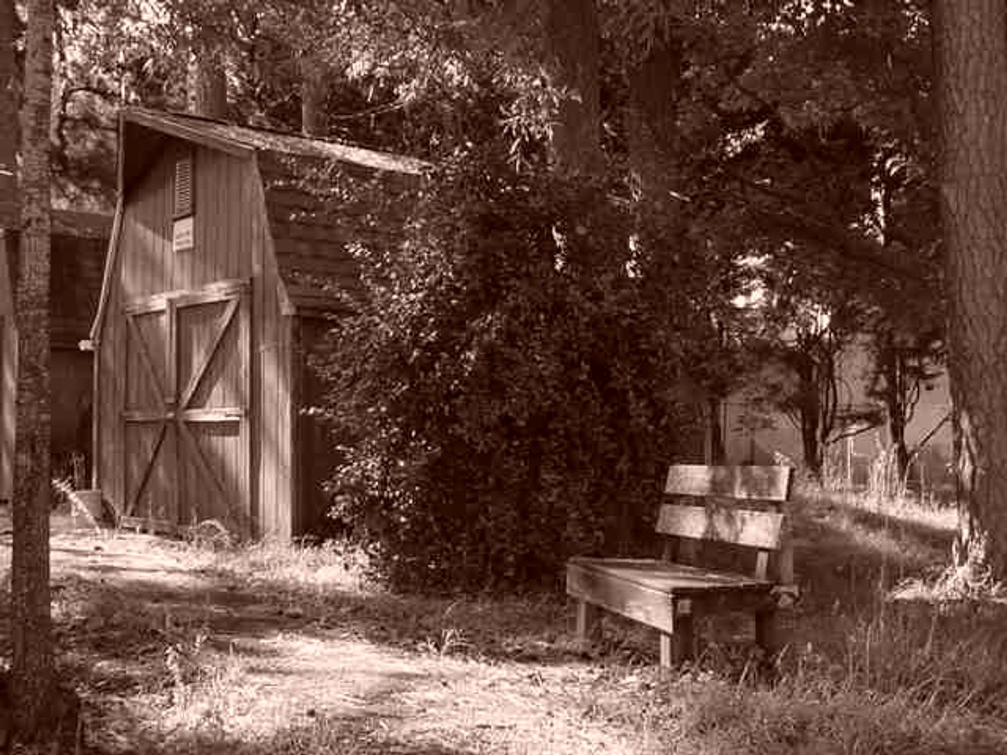 A path where it leads to a shed on the left side of the frame. Towards the right side is a wooden bench. This was taken with a sepia setting on a Sony Mavica MVC-FD200, the infamous floppy disk camera.