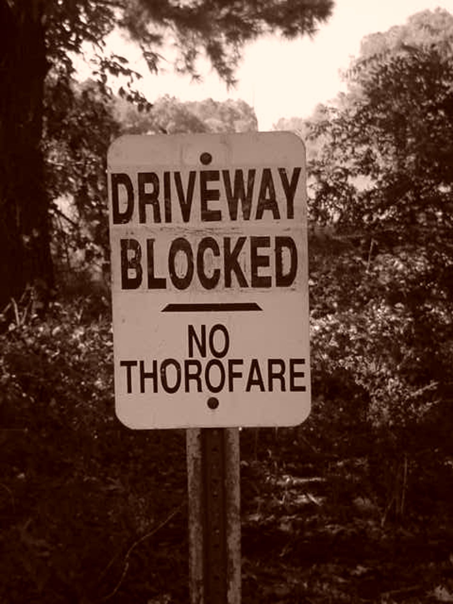 A sign that says "Driveway Blocked: No Thorofare" (sic) with some trees behind it. This was taken with a sepia setting on a Sony Mavica MVC-FD200, the infamous floppy disk camera.