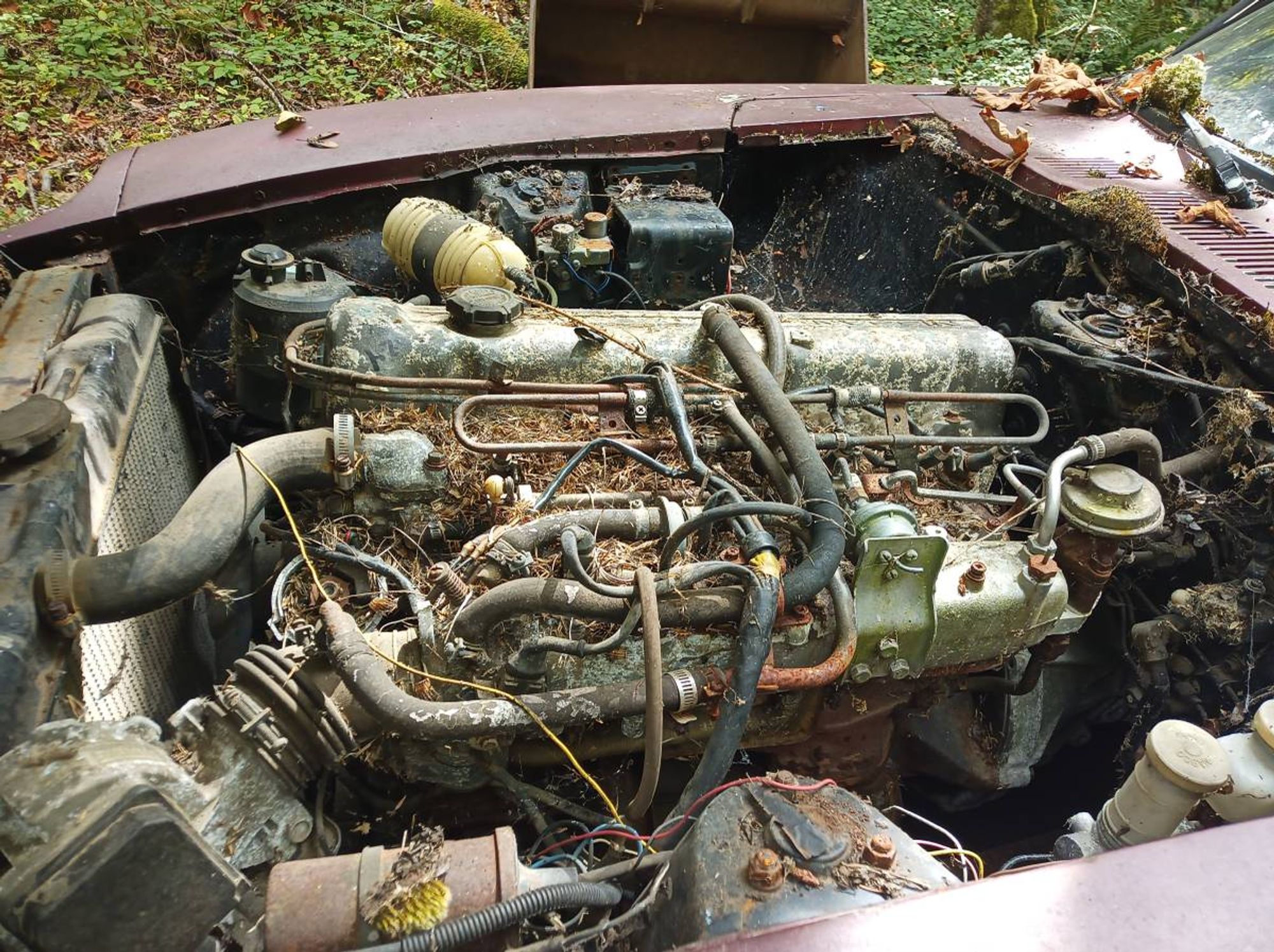 straight six engine of a Nissan 280 Z covered in leaves