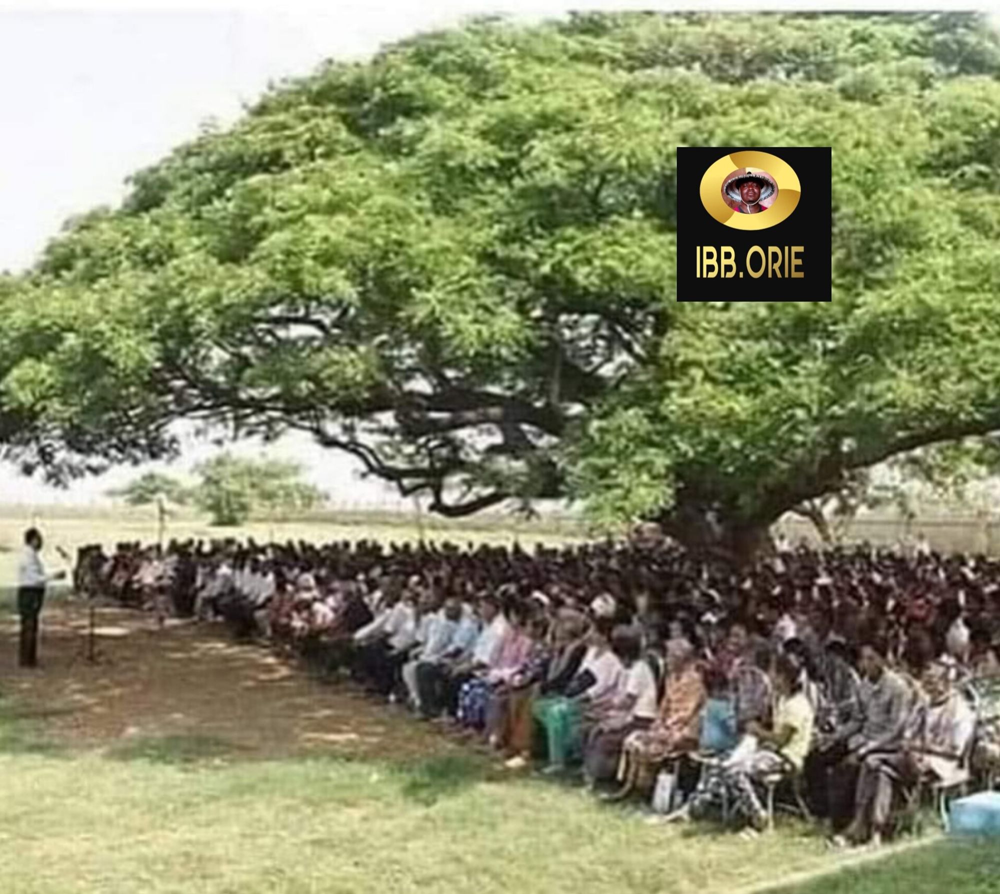 *The value of one single good tree!*
 What are your thoughts on this? 
Don't try to pull a growing tree down because of 
Hatred,
Envy and
Jealousy, 
The shade may be useful for every one of us tomorrow. 
So be careful who you try to pull down with your Tongue or Actions. 
Whether your Wife, Husband, Relation, School mate, Colleague, Friend or Neighbour! 
*God bless you.*