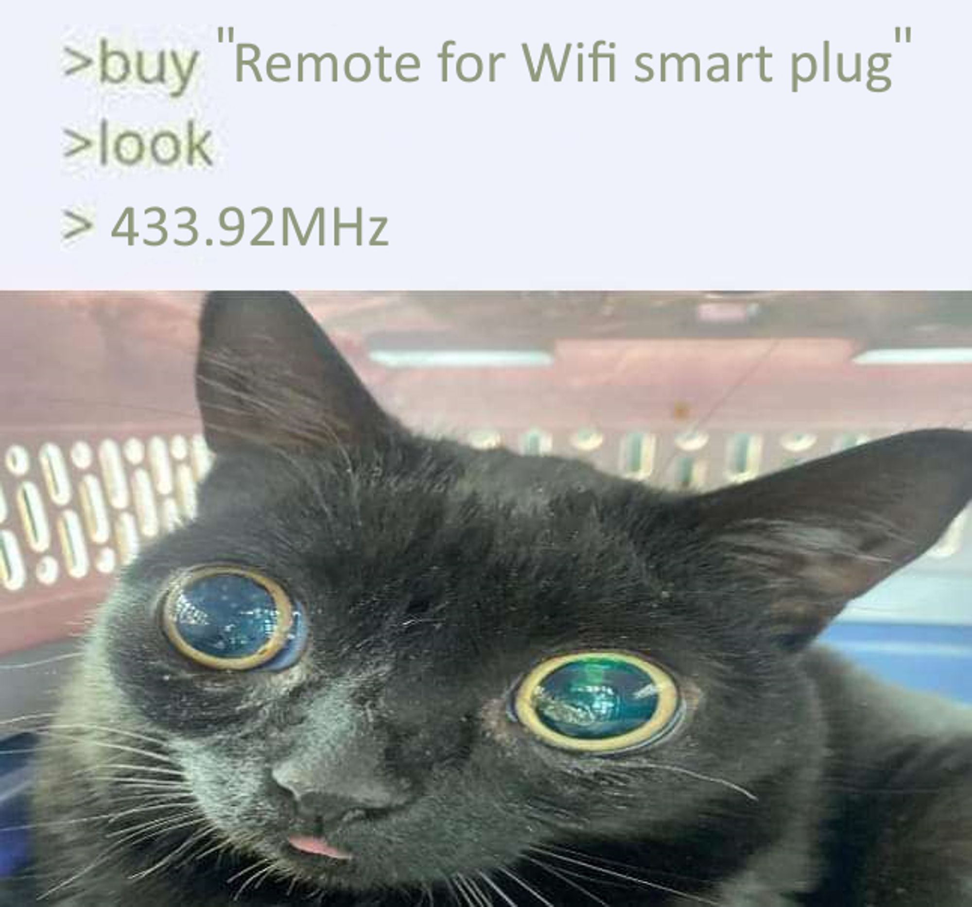 A meme image with the text "buy Remote for Wifi smart plug; look; 433.92MHz" and a picture of a cat staring with huge, thoughtless eyes.