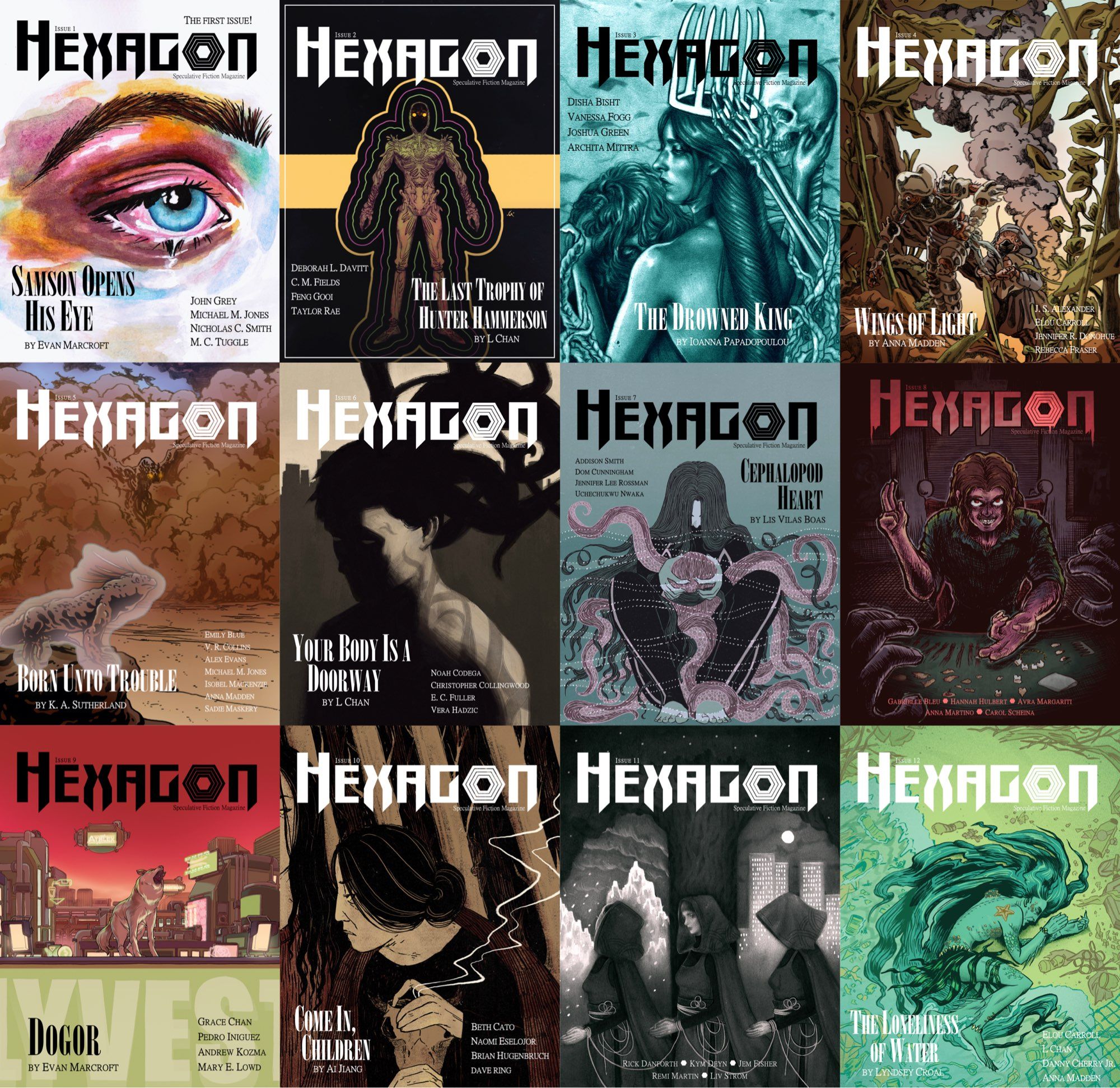 A collage of the first 12 Hexagon covers.