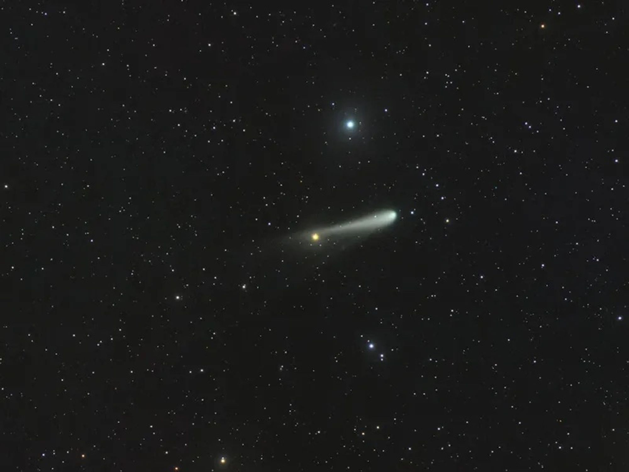 C/2023 A3 (Tsuchinshan-ATLAS) from the Southern Hemisphere, captured 1 August 2024, 17: 49 UTC, by José J. Chambó. Credit: José J. Chambó.