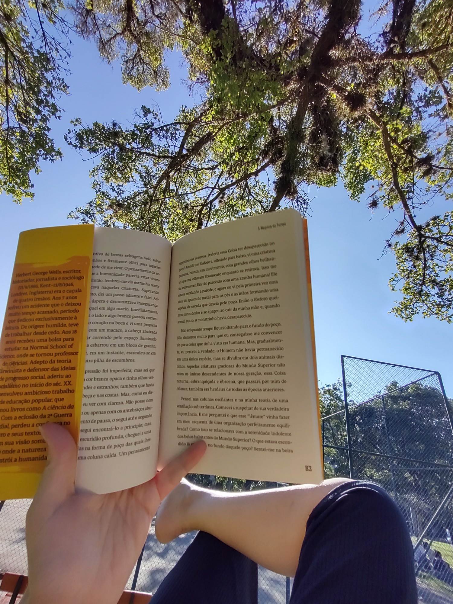 Livro aberto, céu azul ao fundo e árvore fazendo sombra. Numa perspectiva de quem tá deitada na grama lendo. 