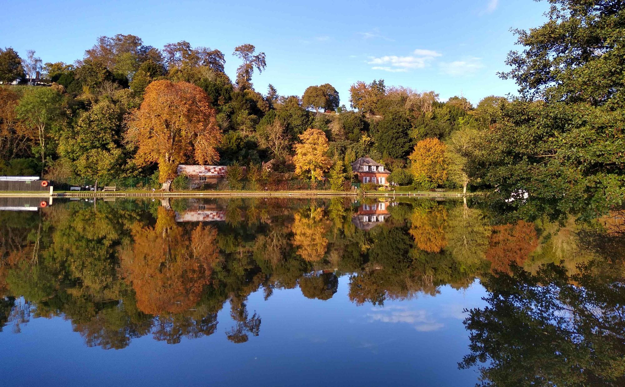 The water of the Thames River is perfectly still, reflecting blue sky and, on the opposite bank, a variety of trees starting to turn autumnal colours and surrounding a couple of houses