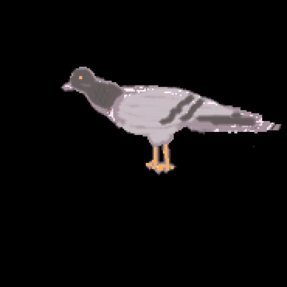 a poorly drawn pigeon