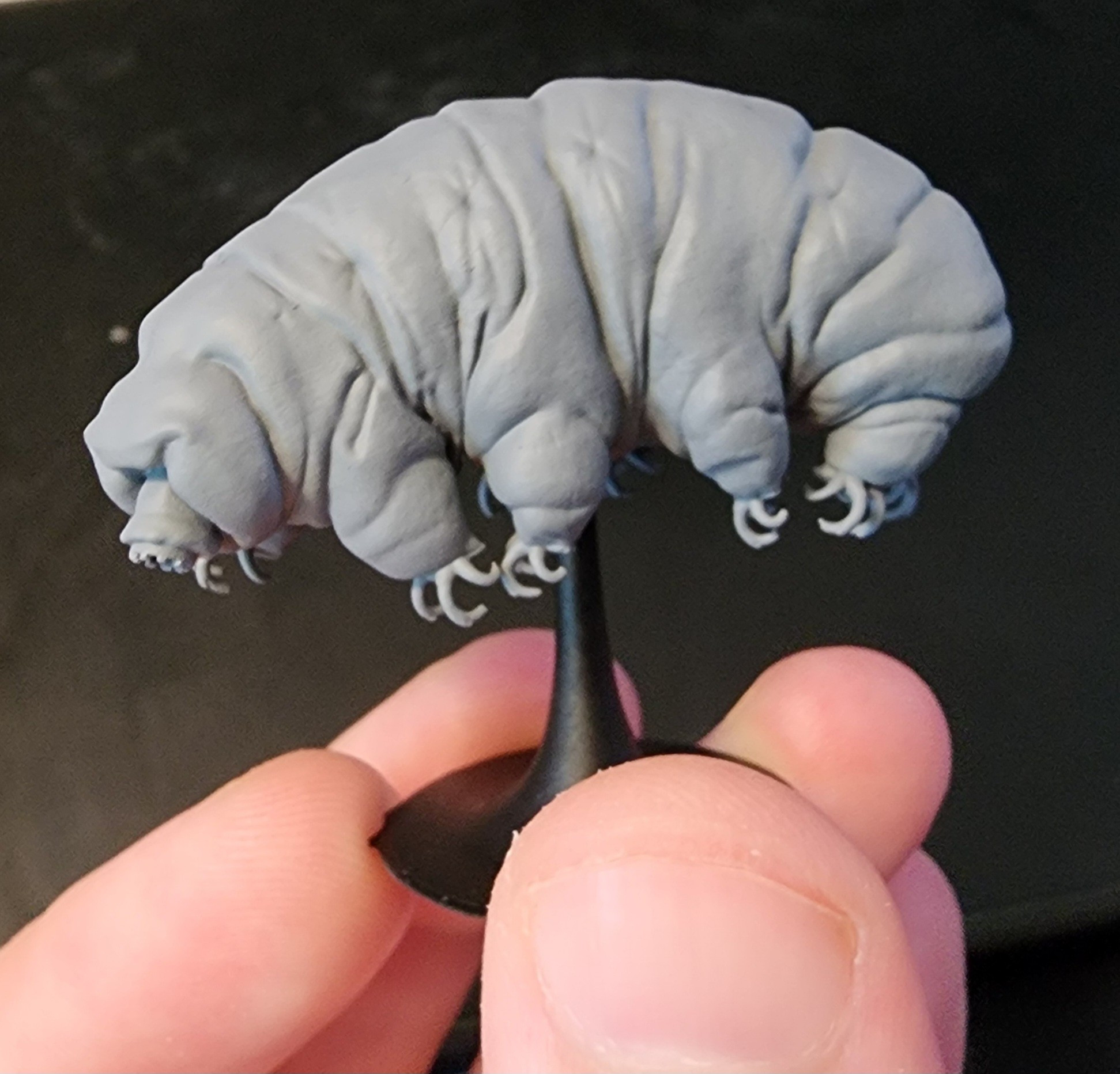 Model of a tardigrade, scaled up to about the size of a thumb