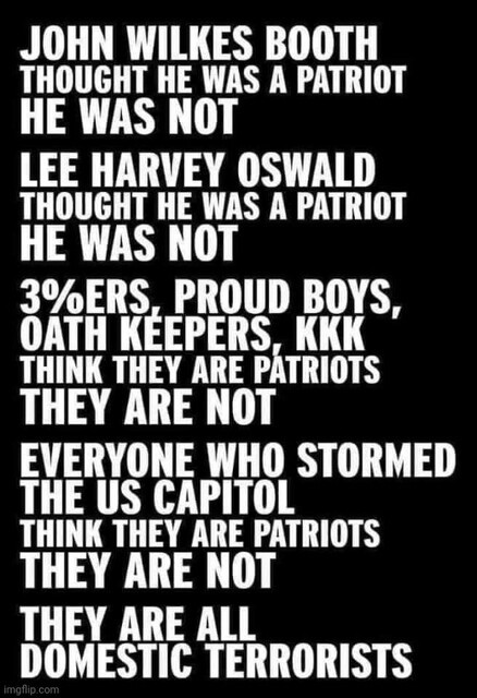 it says:  John Wilkes Booth thought he was a patriot.
he was not.

Lee Harvey Oswald thought he was a patriot.
he was not.

3%ers, Proud Boys, Oath Keepers, KKK think they are patriots.
they are not.

everyone who stormed the US Capitol think they are patriots.
they are not.

they are all domestic terrorists.