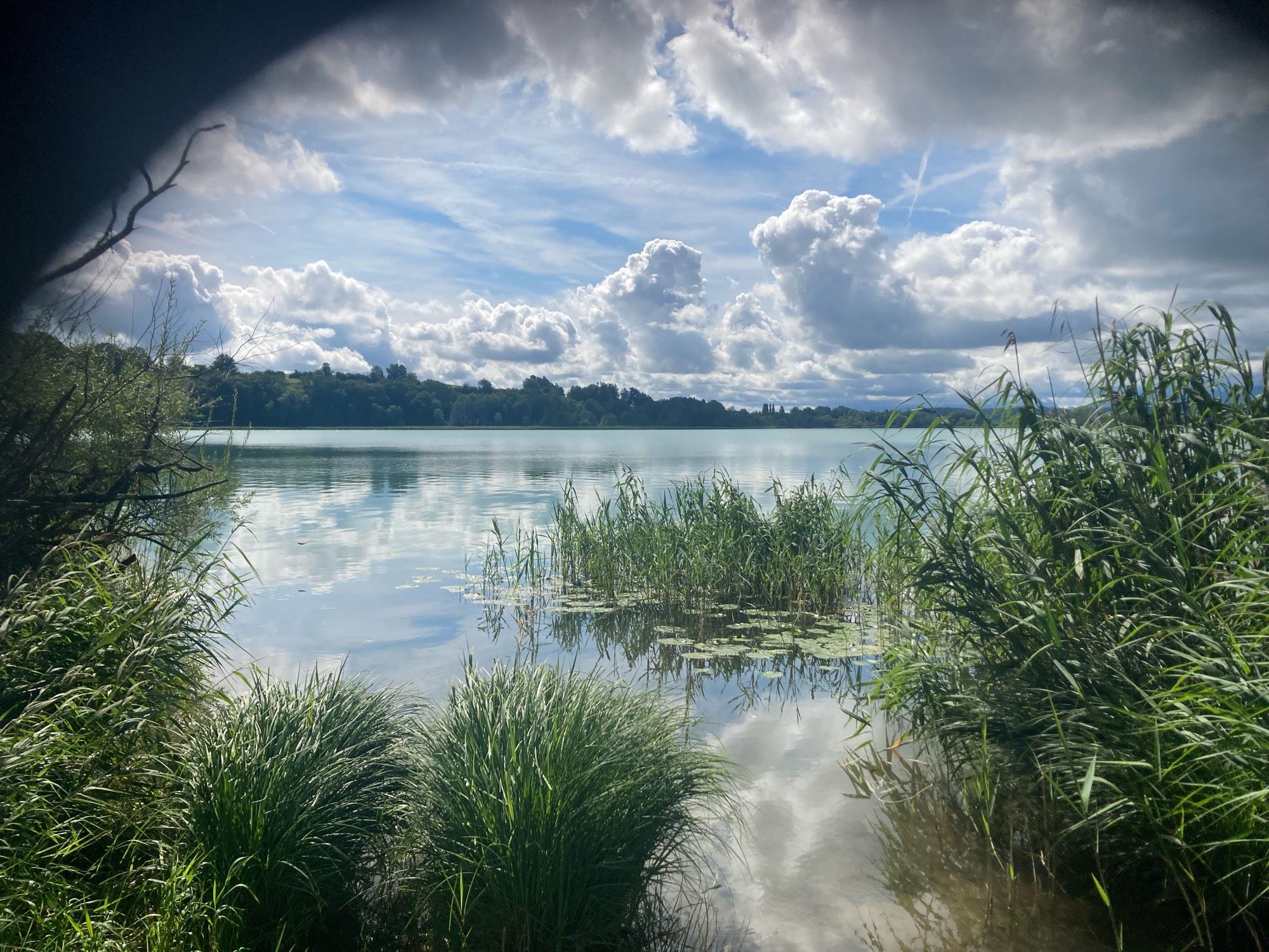 A lake with trees in the background.