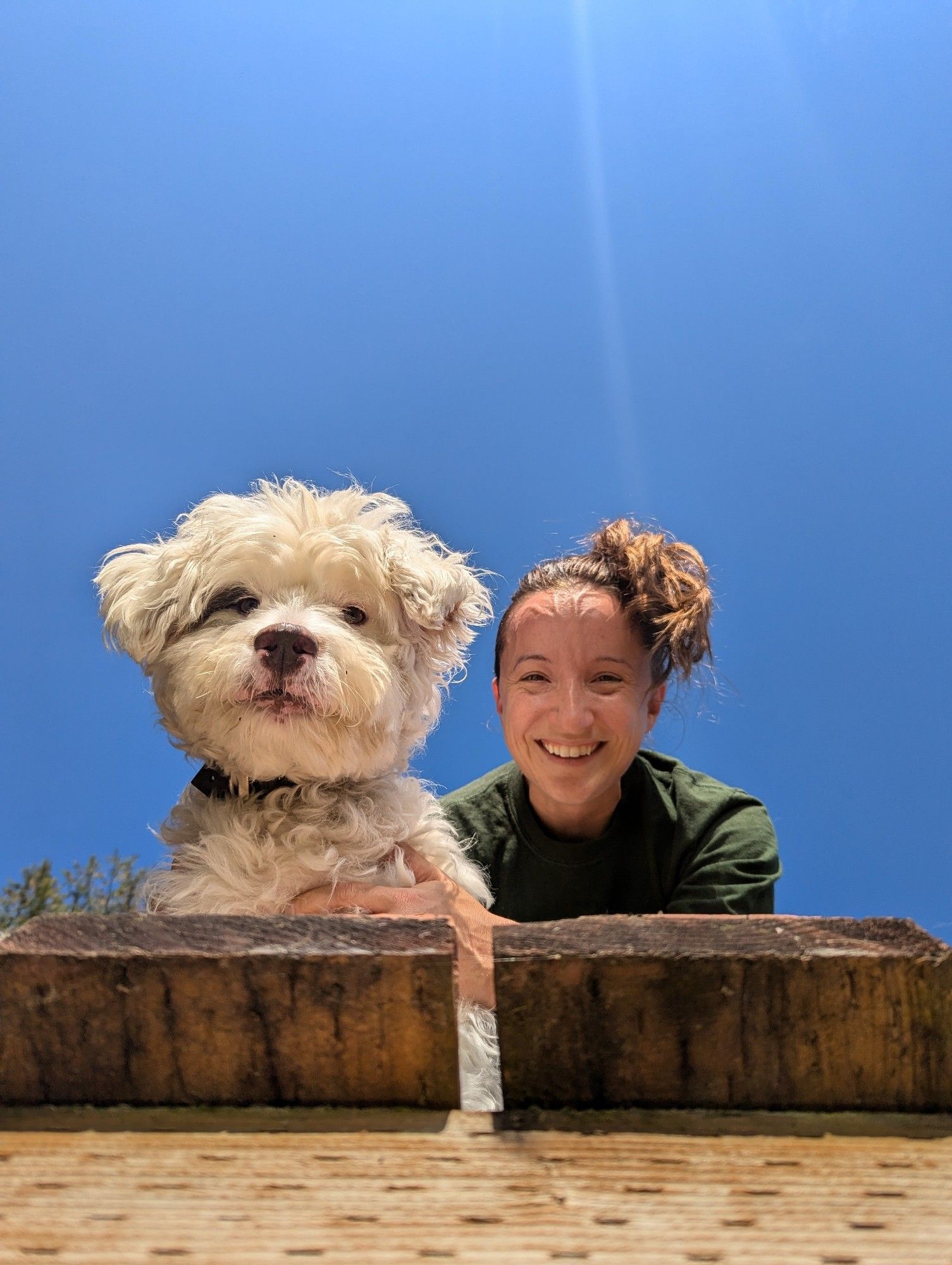 Viewed from below a dock, a woman with light brown hair and a white fluffy dog with curly fur look downward. The woman is smiling. Behind them is a blue clear sky