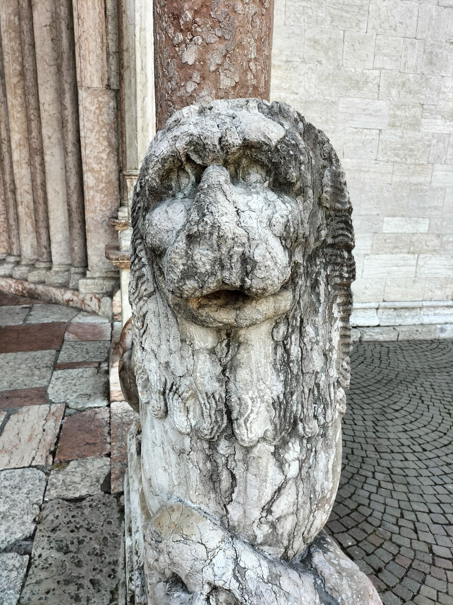 Lion in front of Cathedral