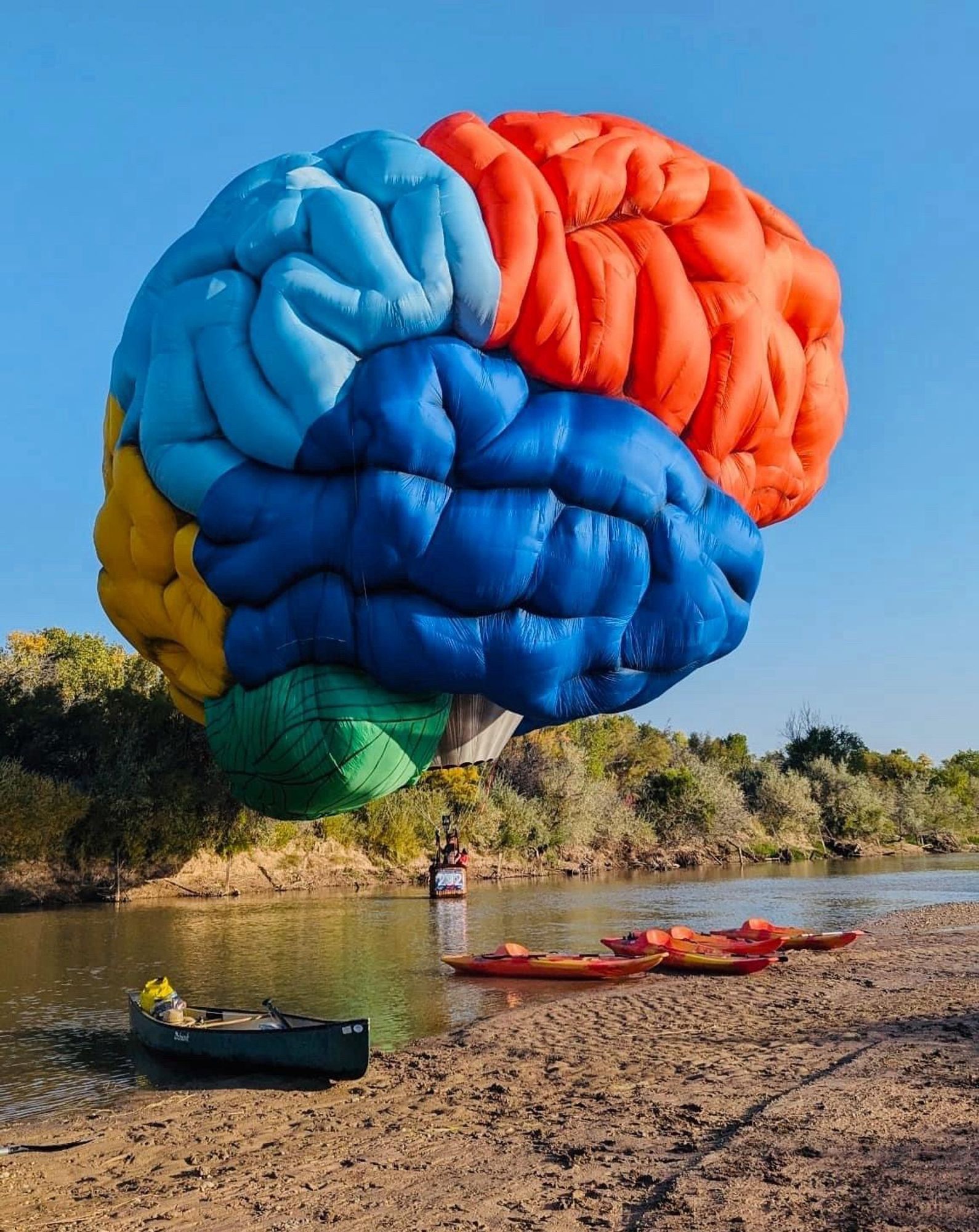 A photo of an enormous hot air balloon shaped like a brain landing in a narrow river, with kayaks and a canoe on the shore. 

No photographer was credited on Facebook, so unfortunately I can’t give credit here either.