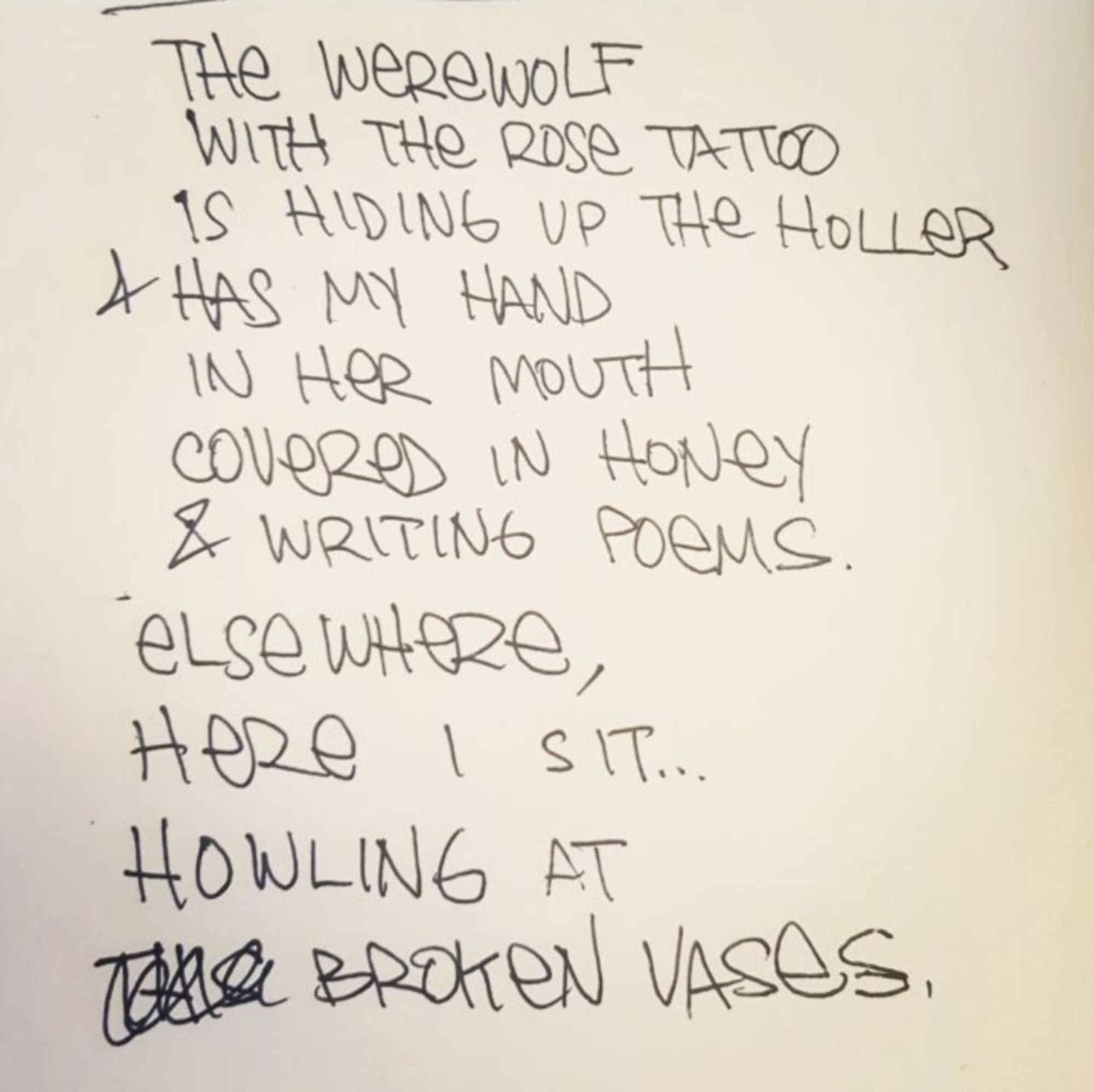 the werewolf with the rose tartoo is hiding up the holler and has my hand in her mouth covered in hiney & writing poems. elsewhere here i sit... howling at broken vases.