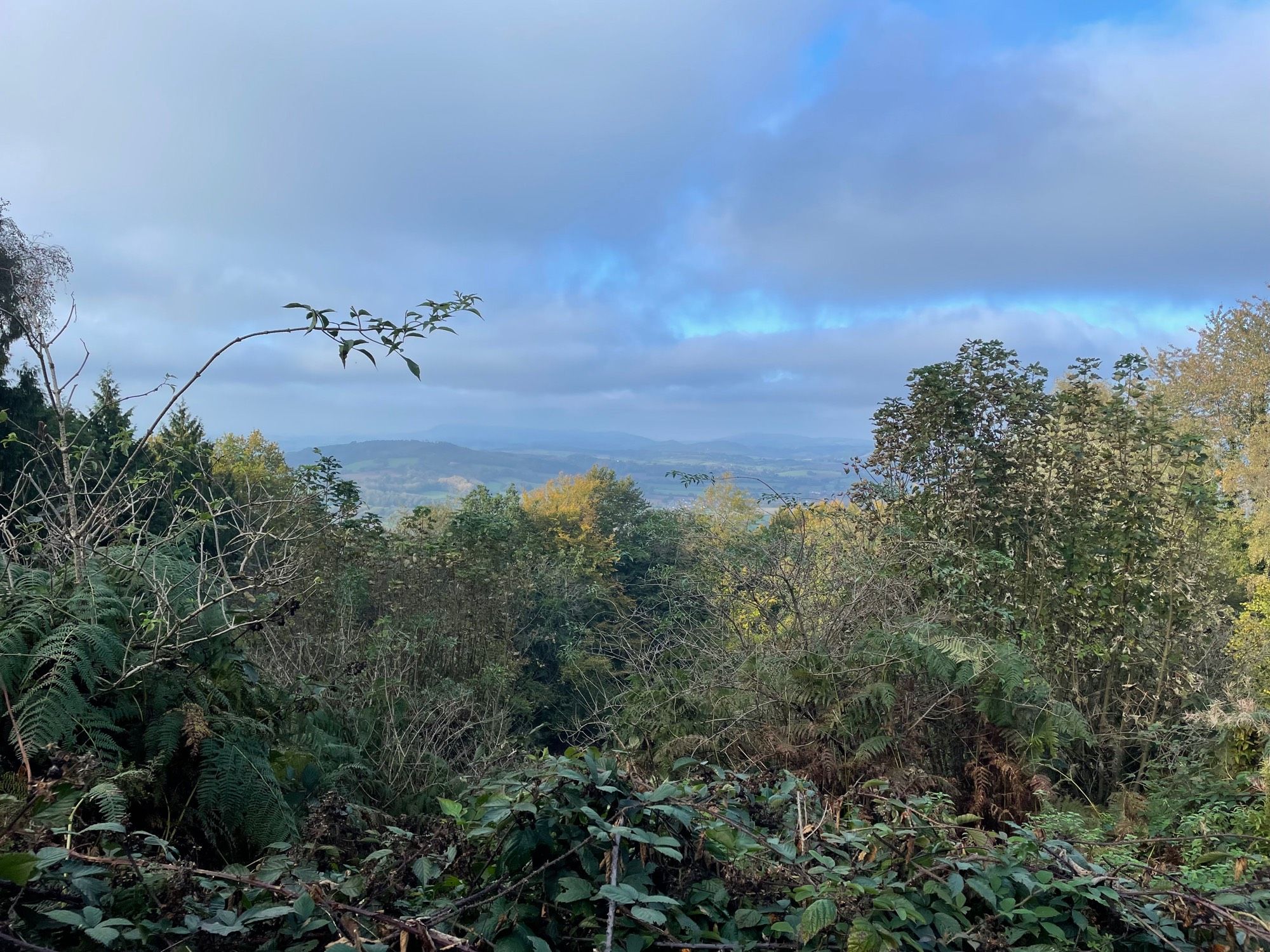 A view across woodland to the Brecon Beacons in the misty distance.