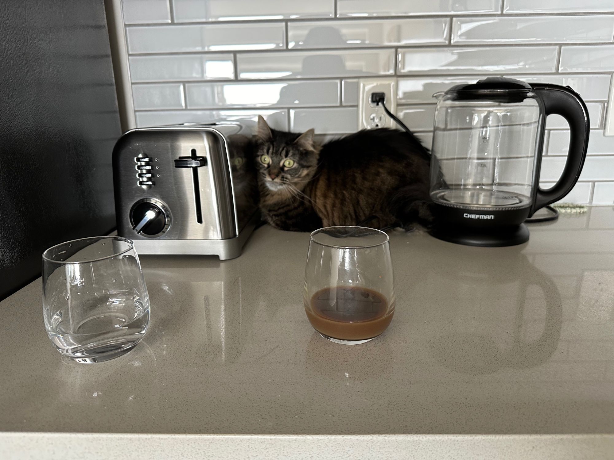 A cat sitting on a countertop between a toaster and a kettle