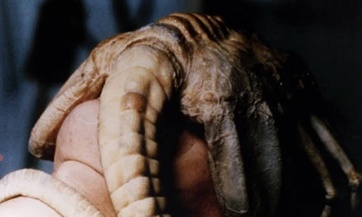 Facehugger from Alien.