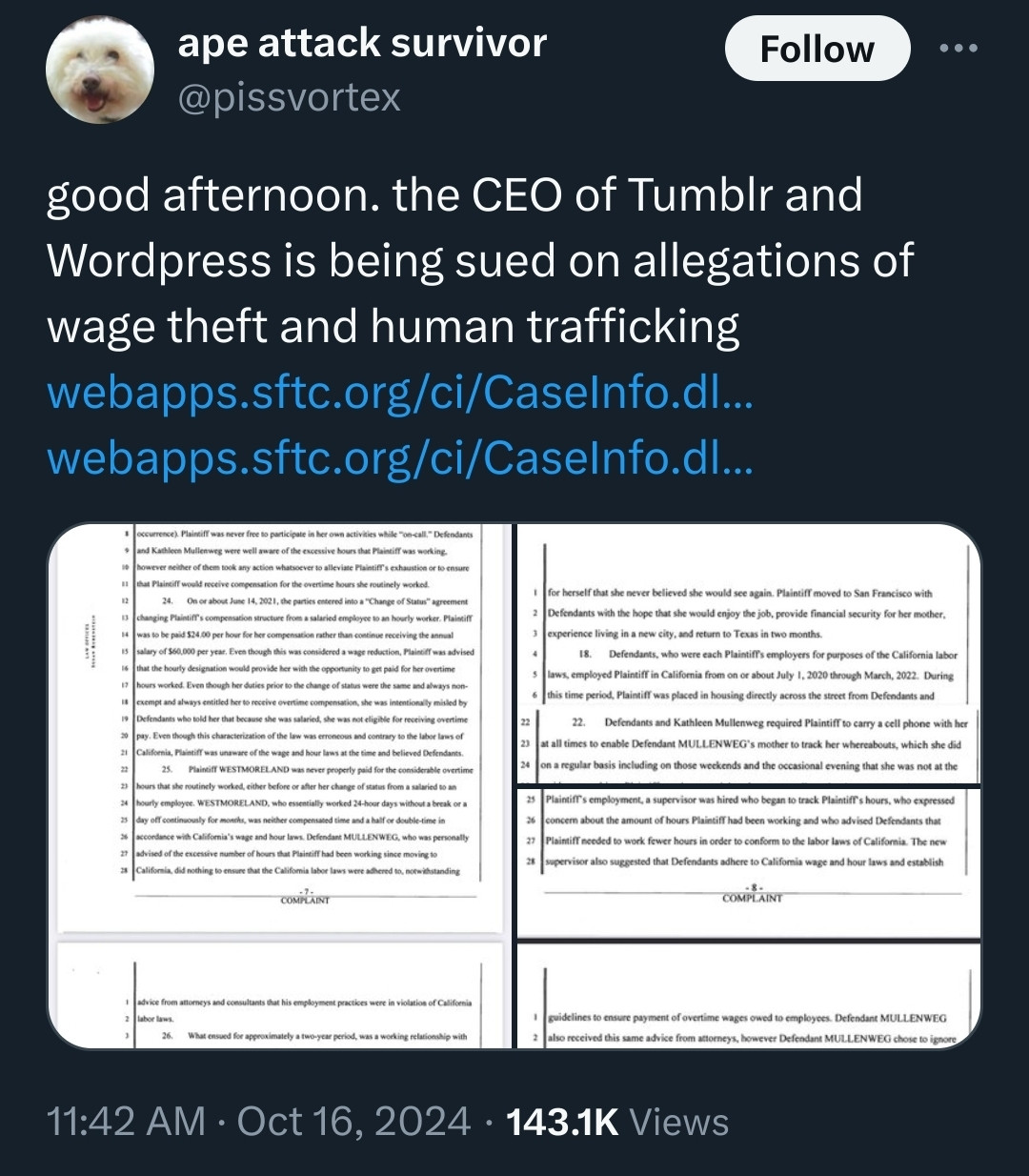 Screenshot of a tweet by @pissvortex: "good afternoon. the CEO of Tumblr and Wordpress is being sued on allegations of wage theft and human trafficking"

The tweet includes two shortened links to the public case info and documents on the site for the Superior Court of California County of San Francisco, as well as a handful of screenshots from the case filing document that includes the full allegations.

The SF Court case info links are in the replies of this bluesky post.