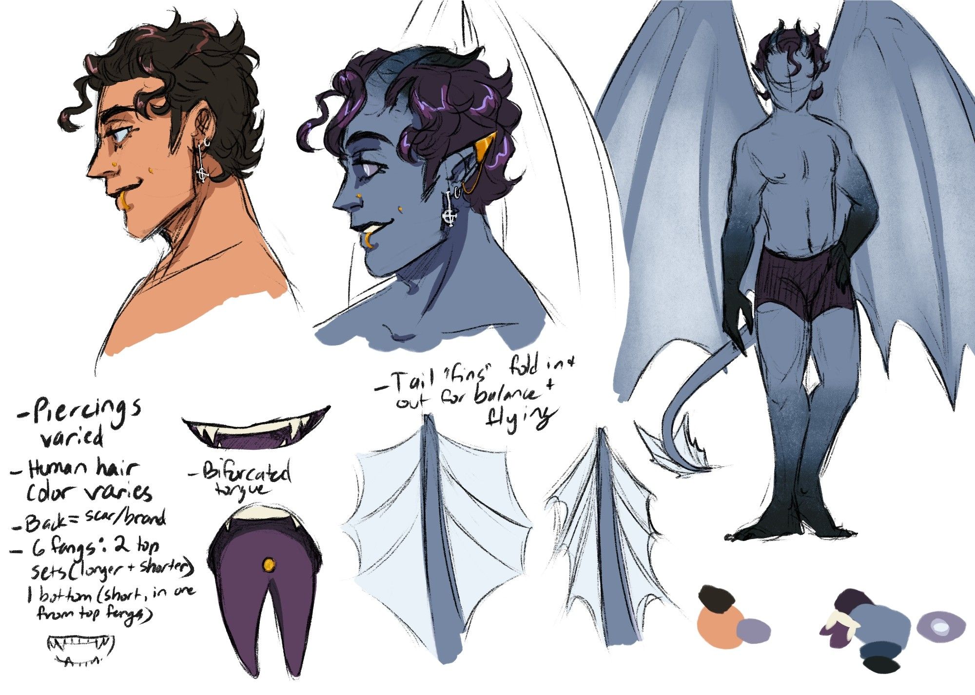 Colored digital sketch page of design notes for a Nameless Ghoul OC for the band Ghost, Zephyr (he/him). Two headshots showing his color palette in human glamour (light tan skin, dark brown hair, grey eyes) and unglamoured ghoul (slate skin, dark faintly magenta-tinted hair, pale grey eyes w darker grey scalera, pointed ears & two sets of horns) – his hair is short and wavy with several curls. He has at least 3 facial piercings (nose stud, dimple piercing, lip ring) plus several earrings. He has a tail and large wings. Notes indicate: "Piercings vary. Human hair color varies. Back = scar/brand. 6 fangs: 2 top sets (longer + shorter), 1 bottom (short, in 1 from top fangs). Bifurcated tongue. Tail "fins" fold in & out for balance + flying."