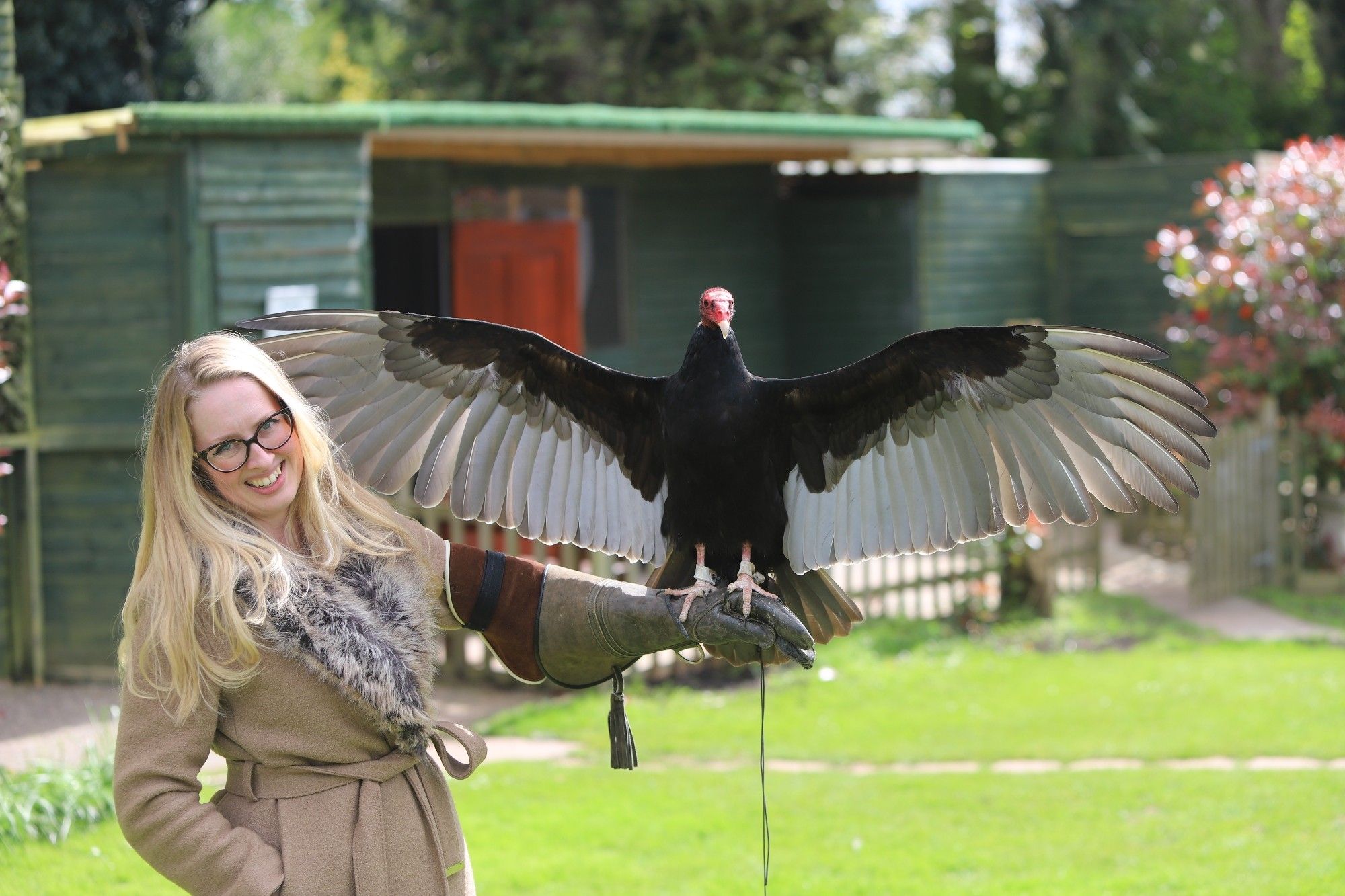 Author Tory hayward with a turkey vulture on her arm