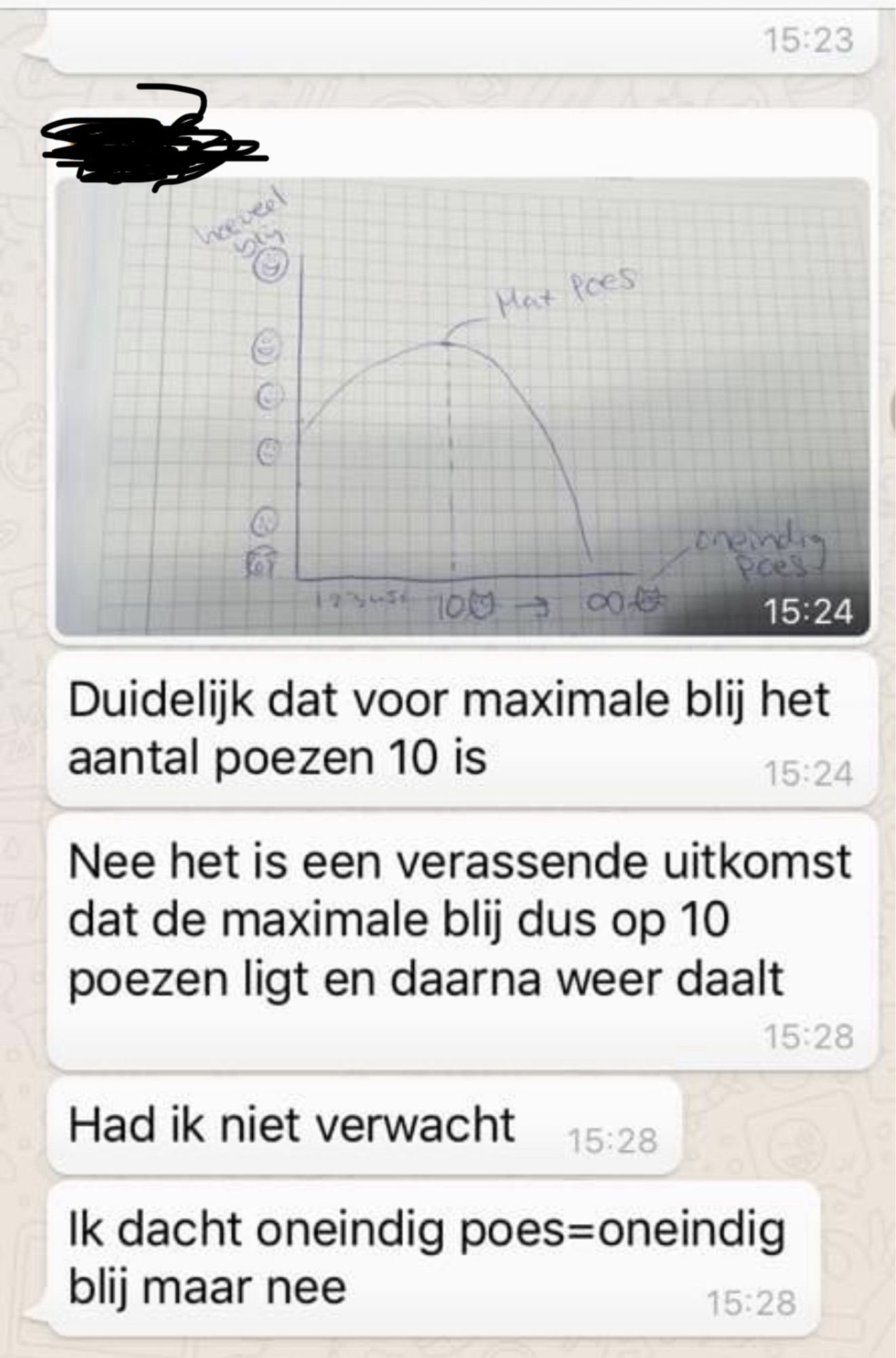 Je ziet een grafiek op ruitjespapier getekend met op de y-as steeds blijere smileys, en op de X als het aantal katten, van nul tot oneindig (∞). De grafiek loopt vanaf nul katten gemiddeld blij Eerst omhoog naar bij 10 katten behoorlijk blij en daarna gaat het weer naar beneden.

Daaronder een duiding: “Het is een verrassende uitkomst dat de maximale blij dus op 10 poezen ligt en daarna weer daalt. Had ik niet verwacht. Ik dacht oneindig poes is gelijk = oneindig blij maar nee”