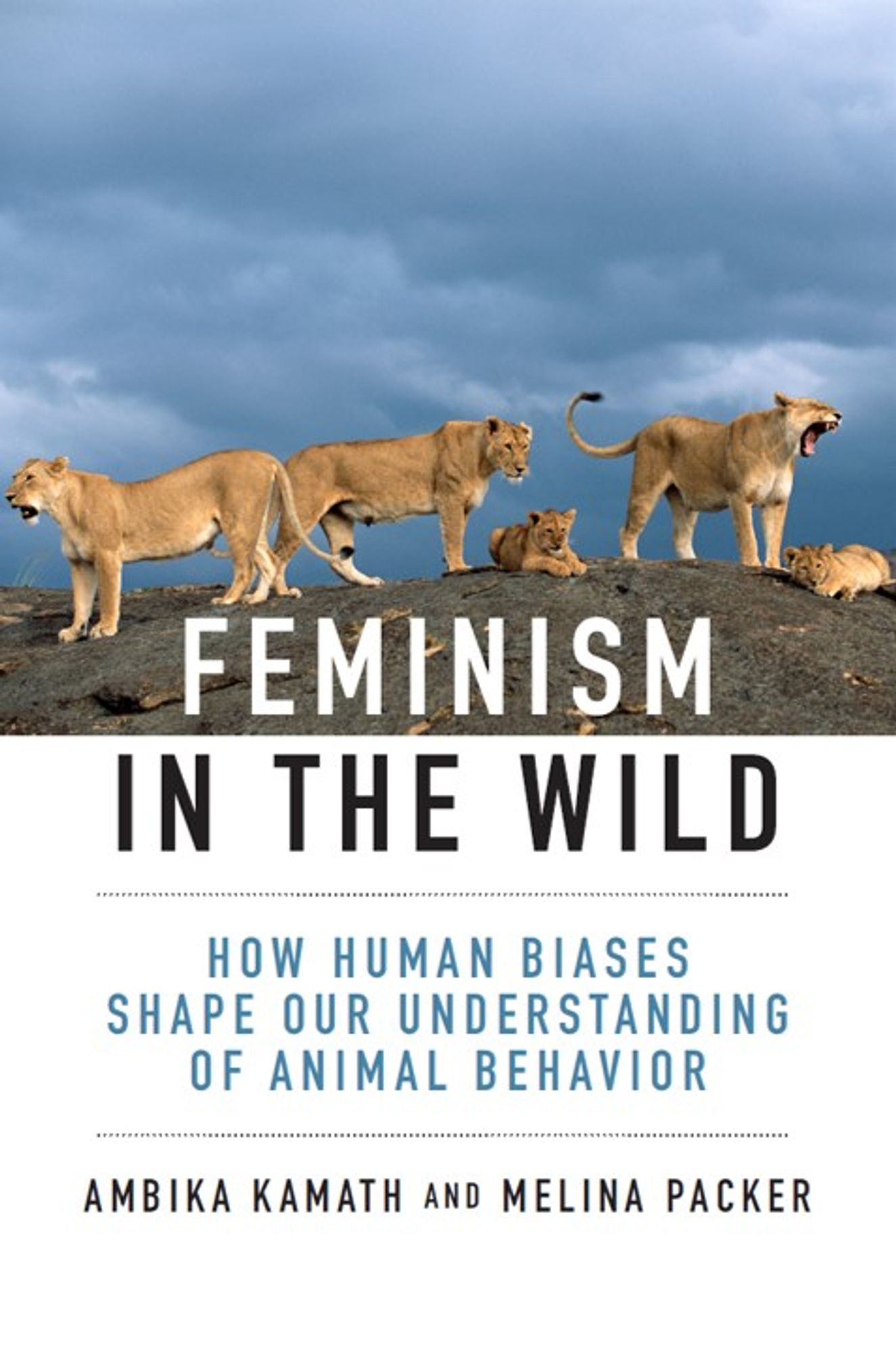 book cover with a picture of three lionesses standing and two lion cubs laying on a grey rock against a cloudy grey blue sky. Text reads "Feminism in the Wild: How Human Biases Shape Our Understanding of Animal Behavior; Ambika Kamath and Melina Packer"