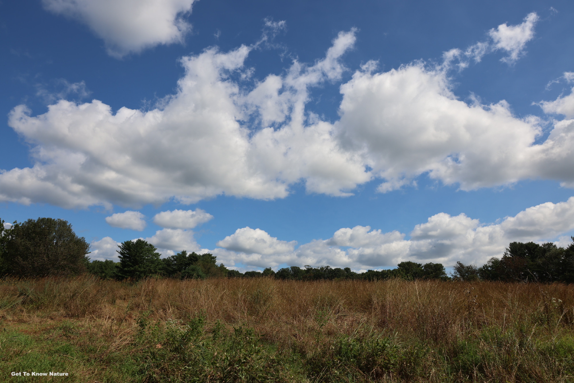 Puffs of white clouds in a blue sky dominate the photo with a brown and green meadow below and some dark trees at the horizon