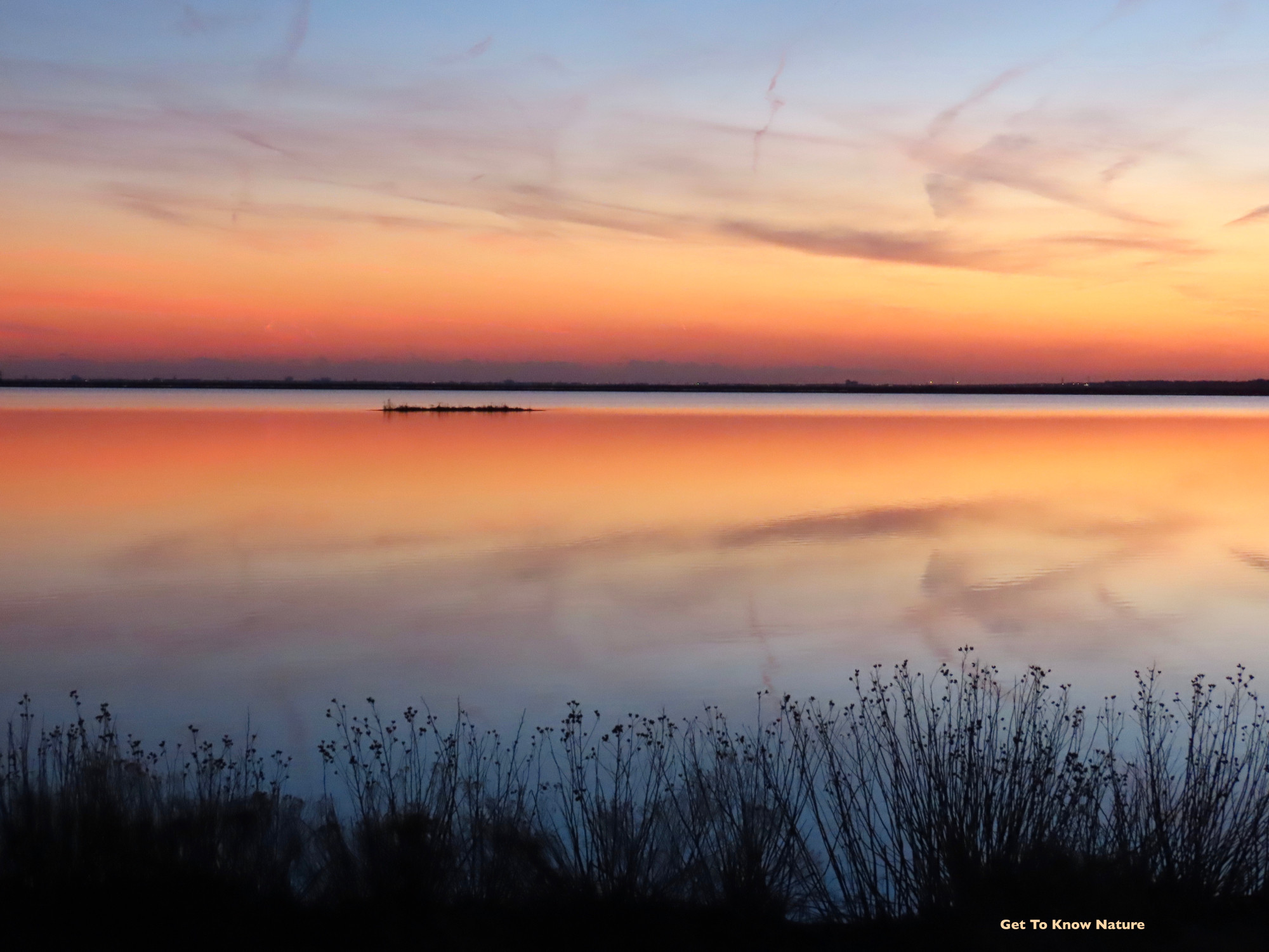 A red, orange and blue sky after sunset is reflected in calm water with silhouetted grasses in the foreground