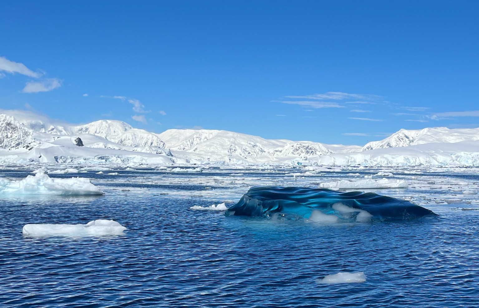 a dark-blue, almost black, iceberg about three metres long floating among whither icebergs in an Antarctic fjord