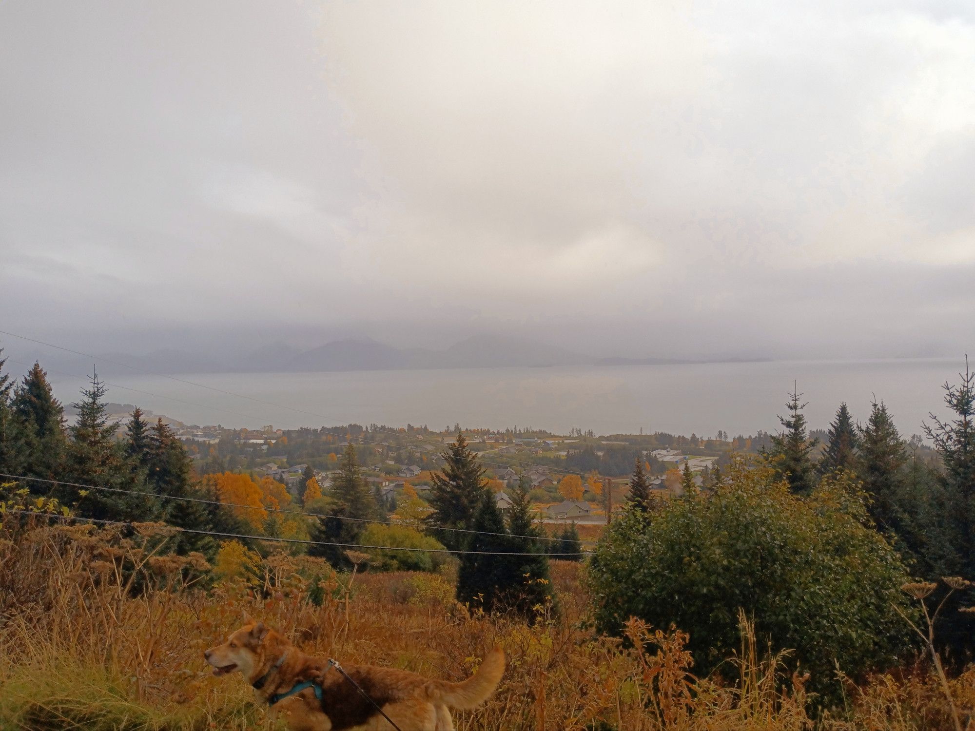 Overcast view of a bay town. Very distant mountains faint through the clouds and fog.