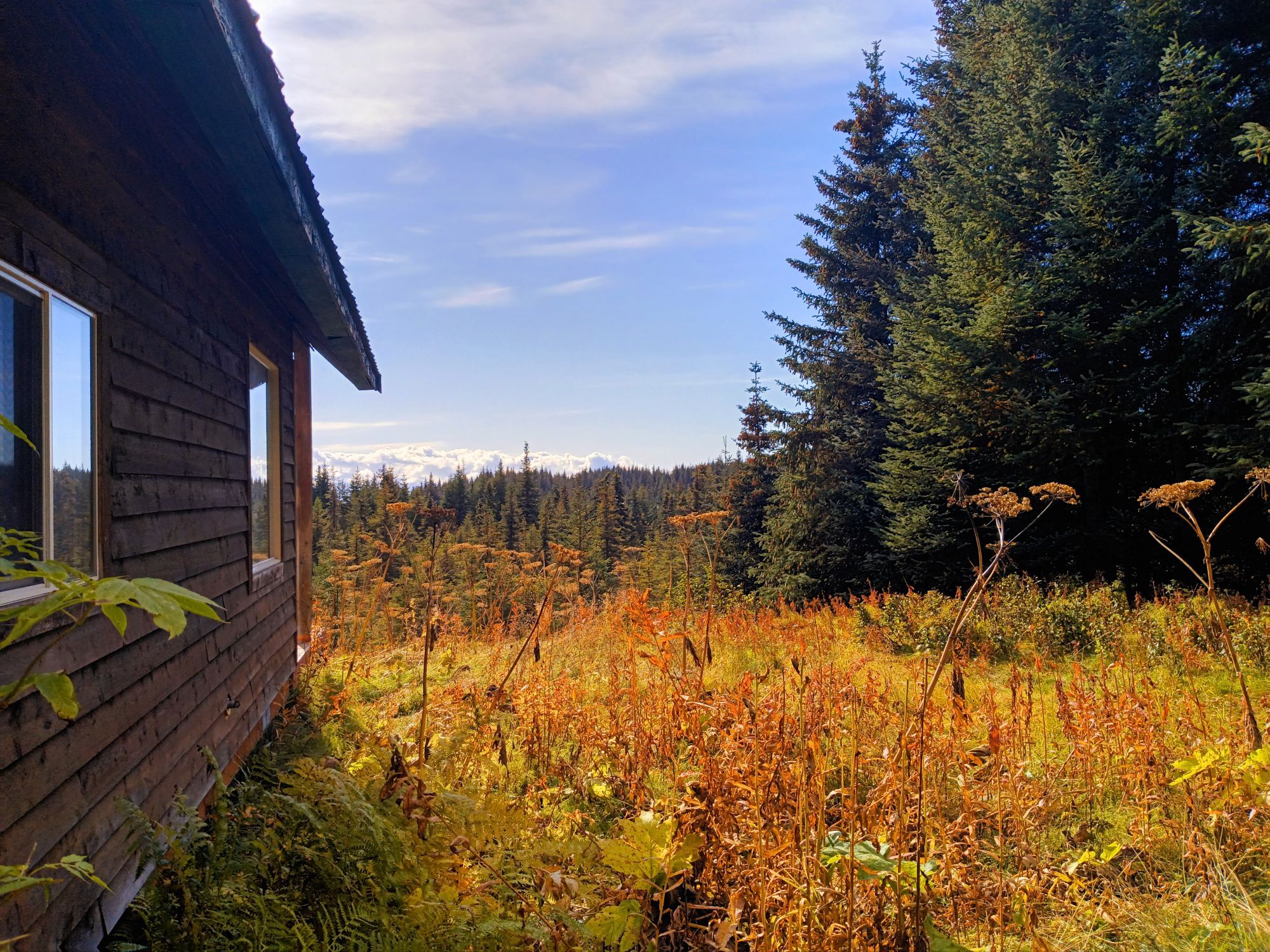 Autumn field with oranges and greens (colors) to the right of a home