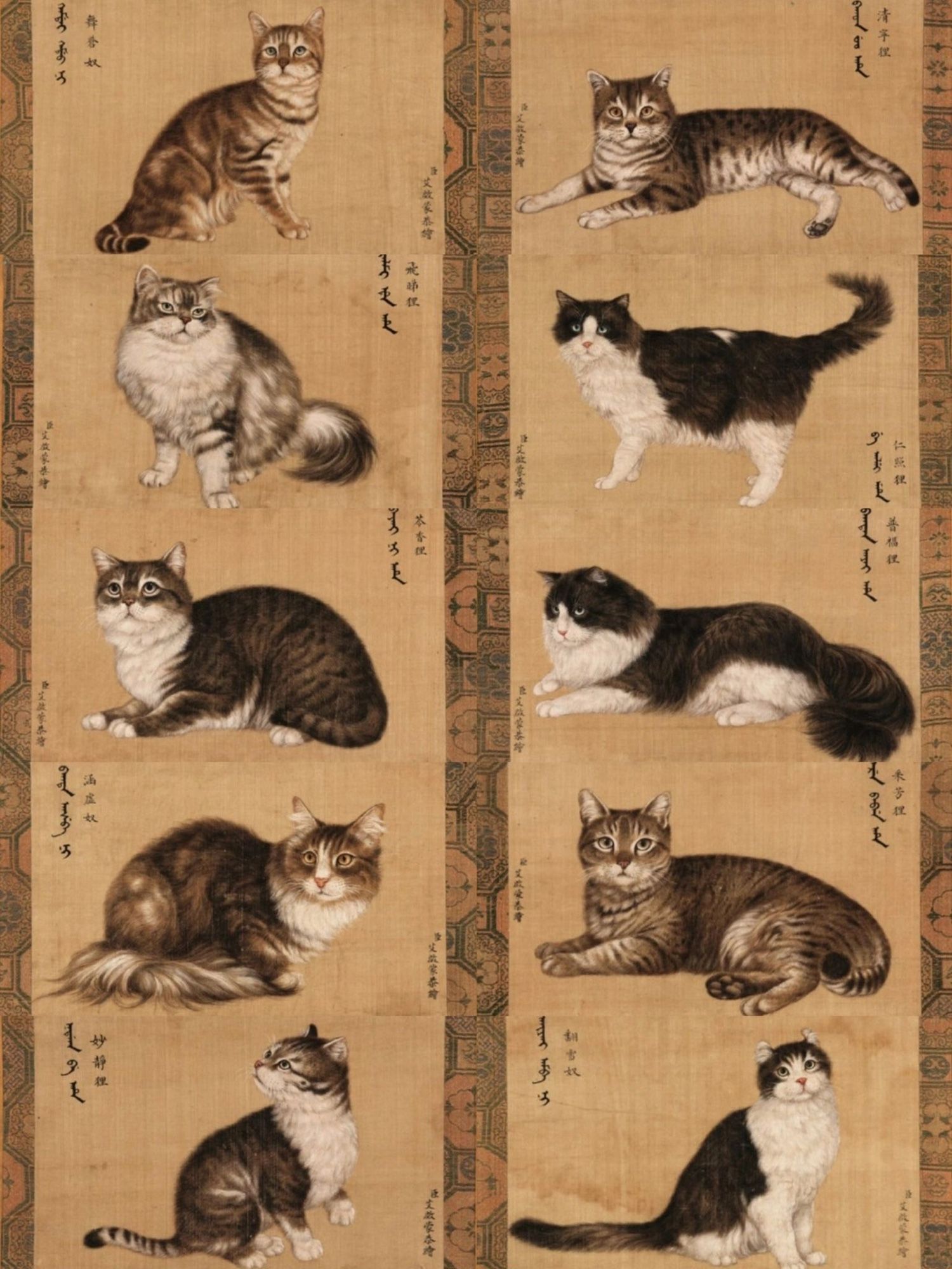 ten cat paintings. they are mostly relaxed and medium haired. all pretty chonky