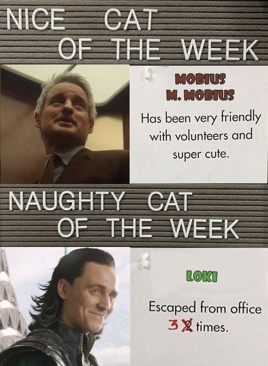 A photo-manipulation of an animal shelter's panel for the nice and naughty cat of the week. Nice cat is Mobius M. Mobius (with pic) who "has been very friendly with volunteers and super cute." Naughty cat is Loki (with pic) who "escaped 3 (added in red followed by a 2 crossed) times ." Link to the Instagram of the animal shelter (perrys_place_la)