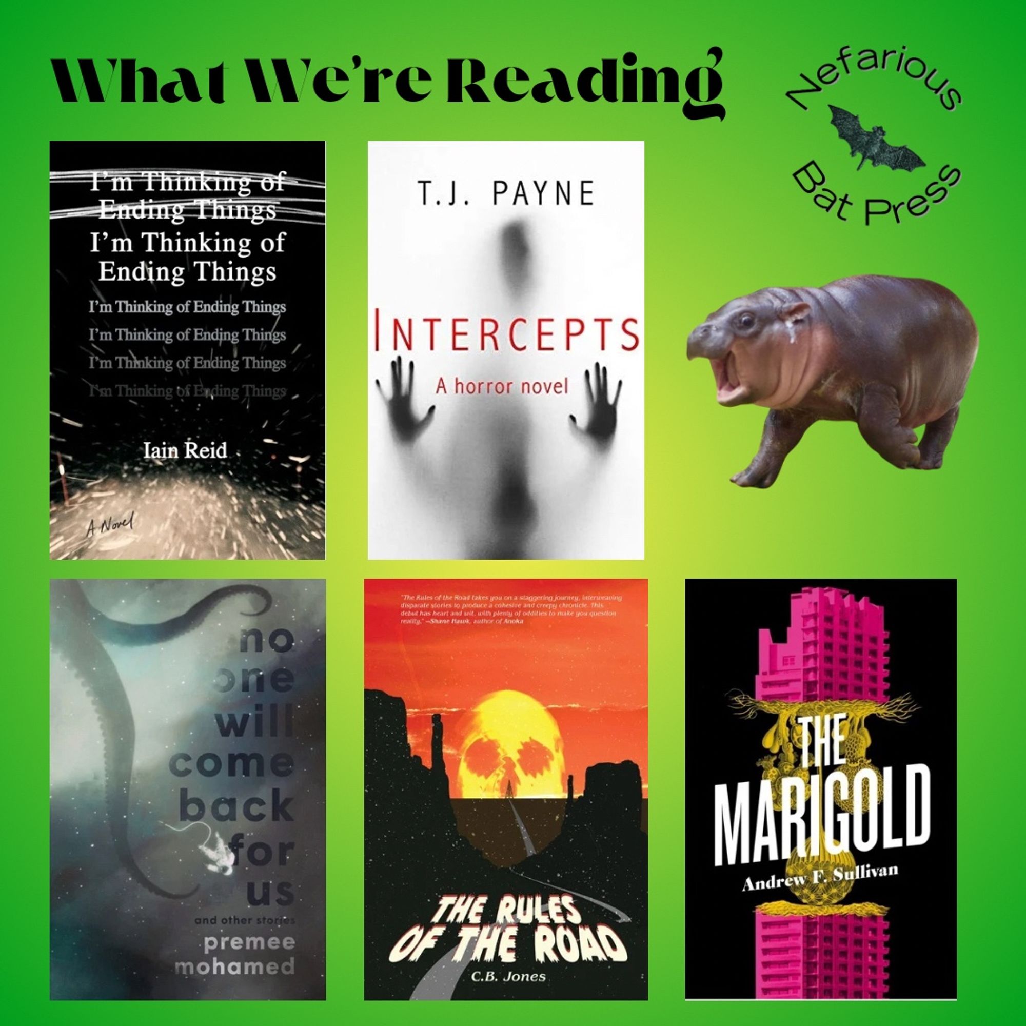 What we're reading this week:

Covers of Premee Mohamed's No One Will Come Back For Us, CB Jones' The Rules of the Road, Andrew F. Sullivan's The Marigold, Iain Reid's I'm Thinking of Ending Things, and TJ Payne's Intercepts - with a bonus image of glorious Pygmy hippo and viral sensation Moo Deng