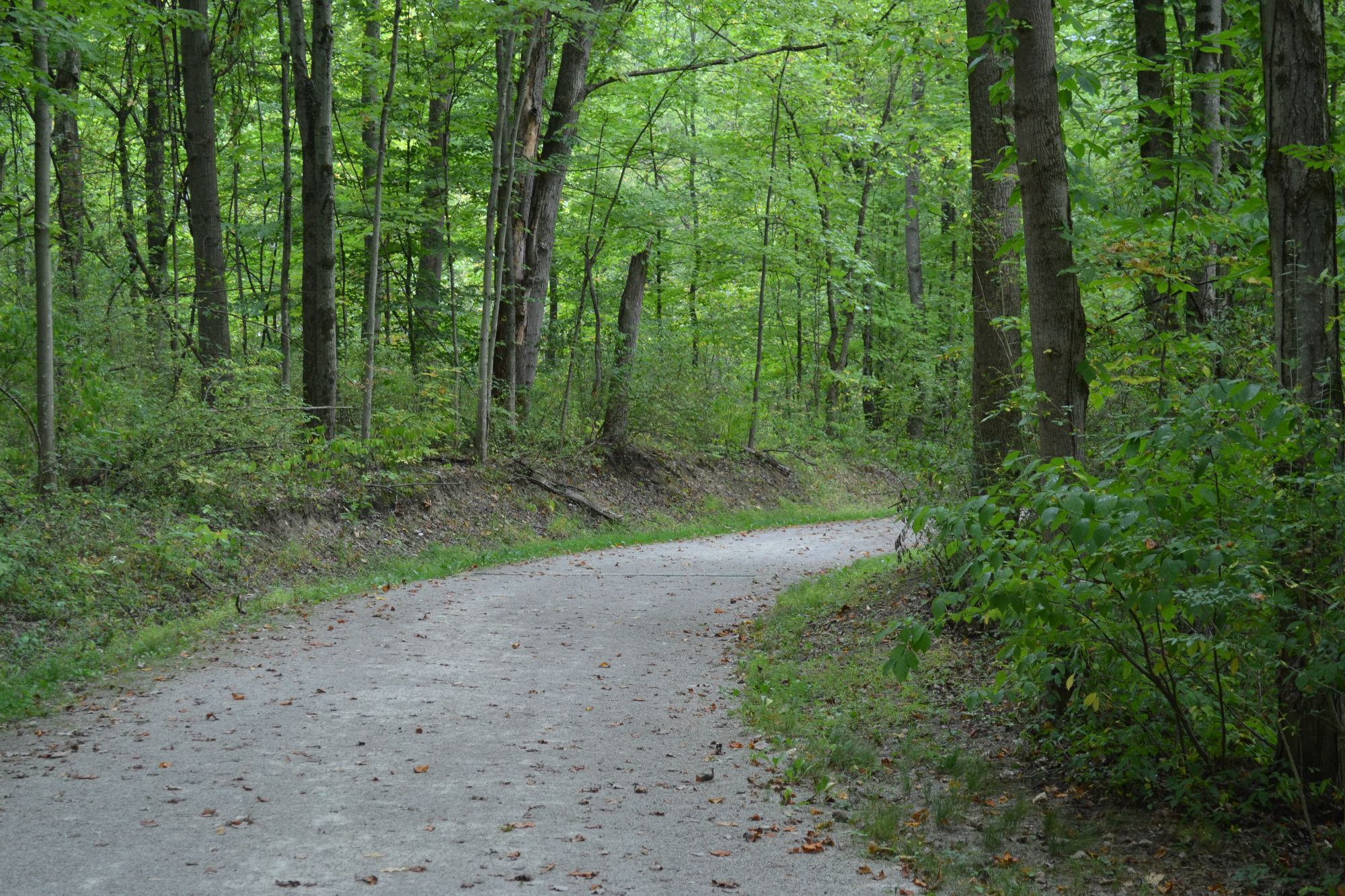 Hiking Trail Around The Bend