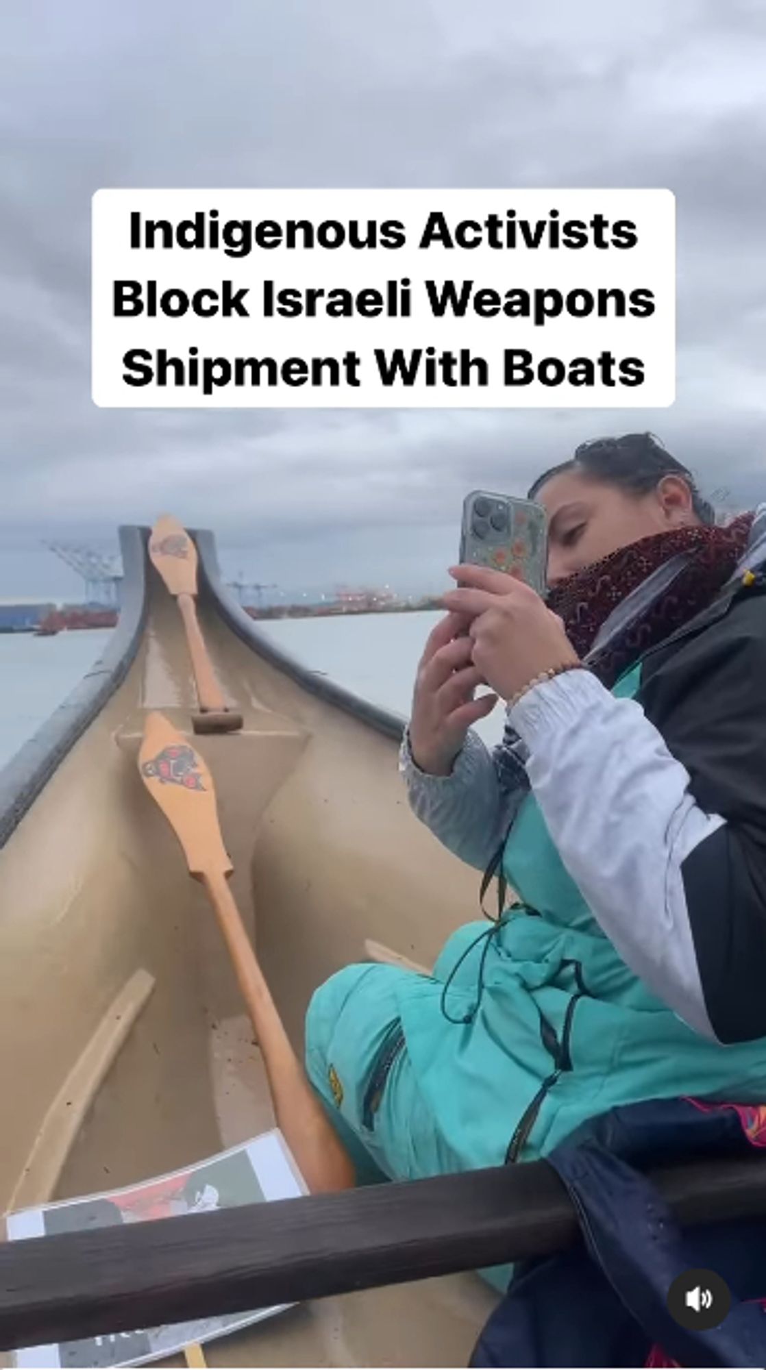 Indigenous Activists Block Israeli Weapons Shipment With Boats

Someone is in a canoe in the port