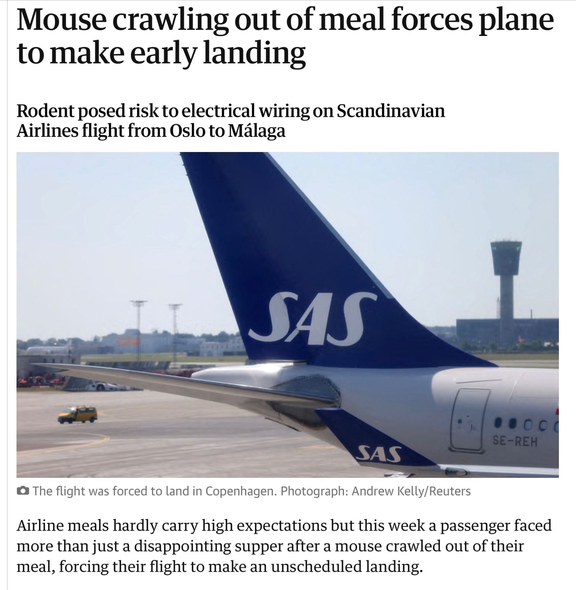 Mouse crawling out of meal forces SAS plane from Oslo to Málaga to make early landing