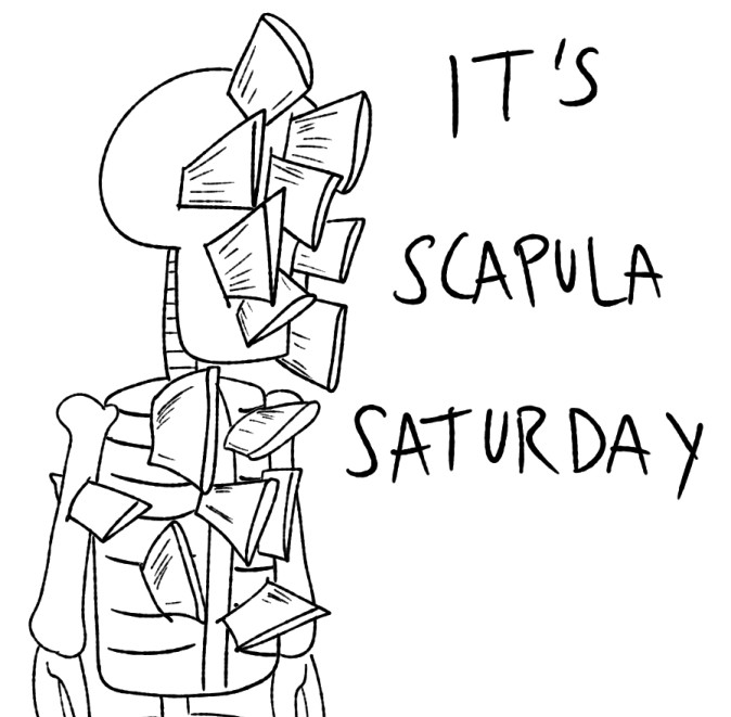 A skeleton covered in embedded scapula, as if they where thrown at them like ninja stars. Text reads "it's scapula Saturday"