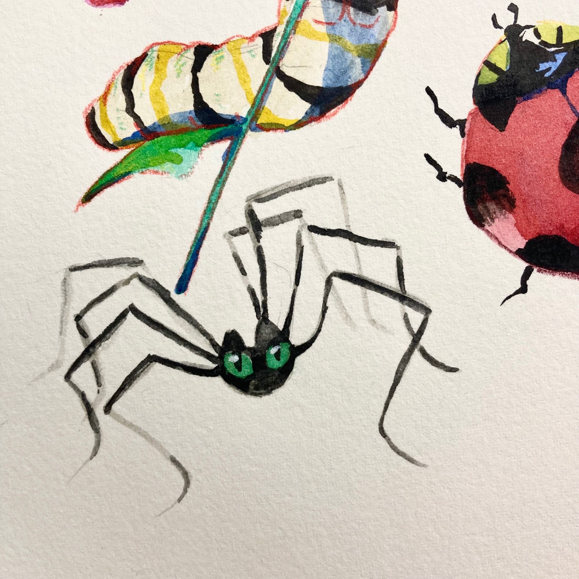 Watercolour illustration of a cat spider hybrid creature