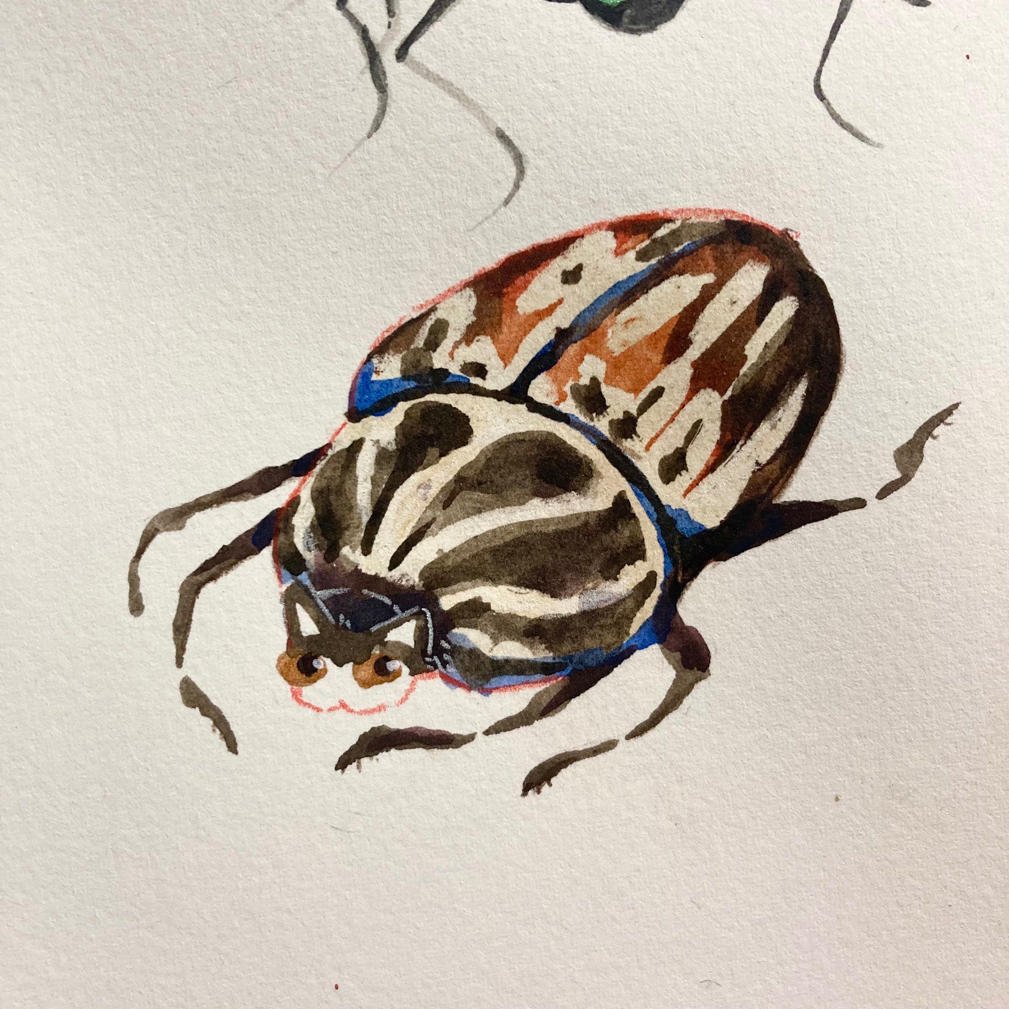 Watercolour illustration of a cat and a Goliath beetle hybrid