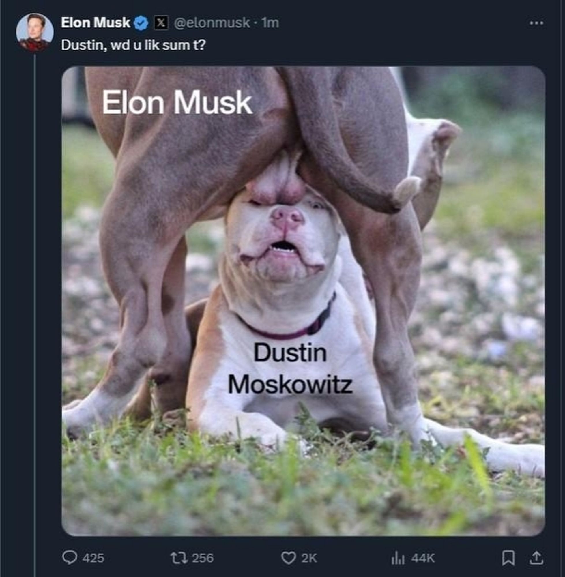 An Elon Musk tweet that is just a picture of a dog captioned "Elon Musk" putting its intact testicles on the face of another dog captioned "Dustin Moskovitz"