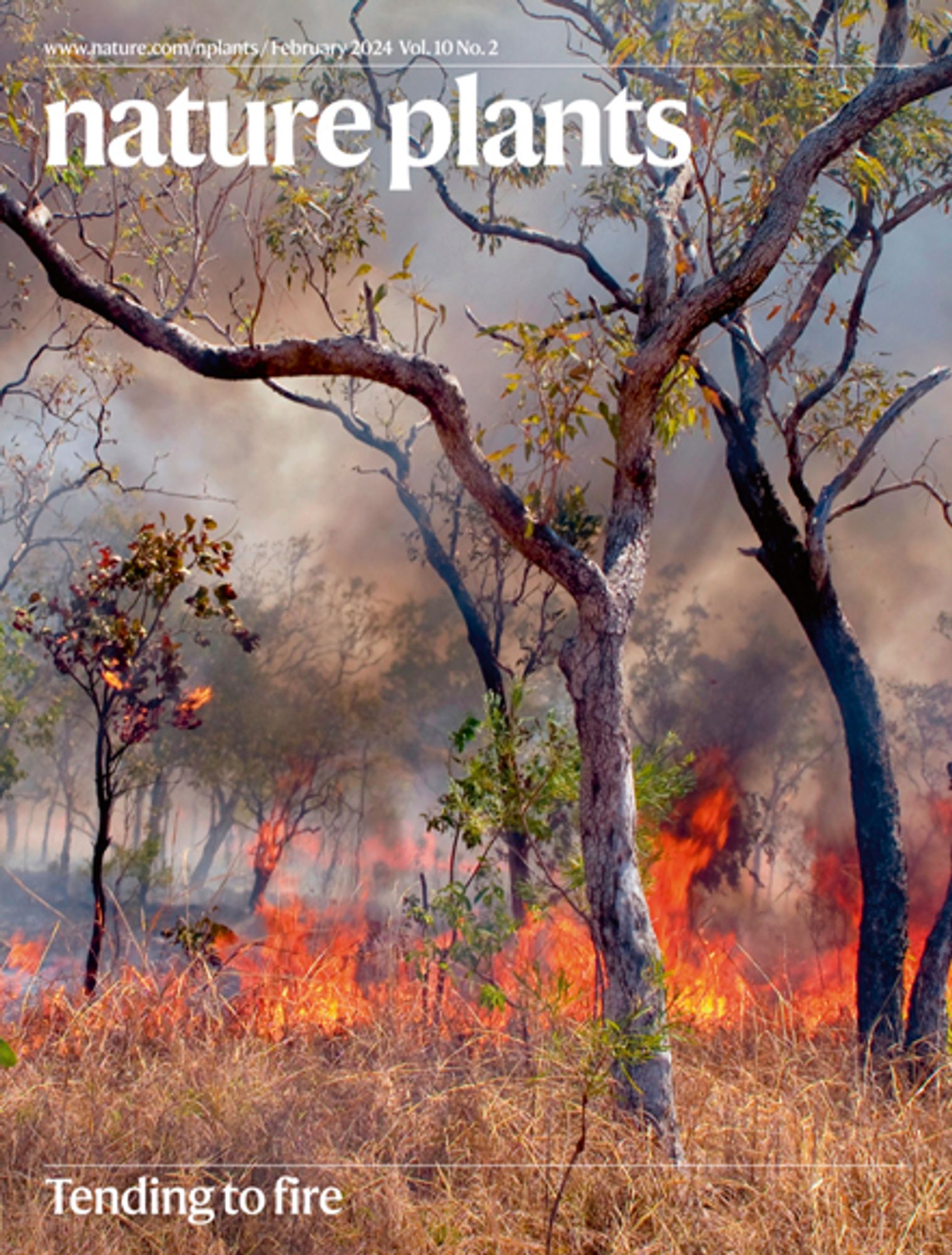 Cover for the February issue of Nature Plants, showing grass and trees burning.