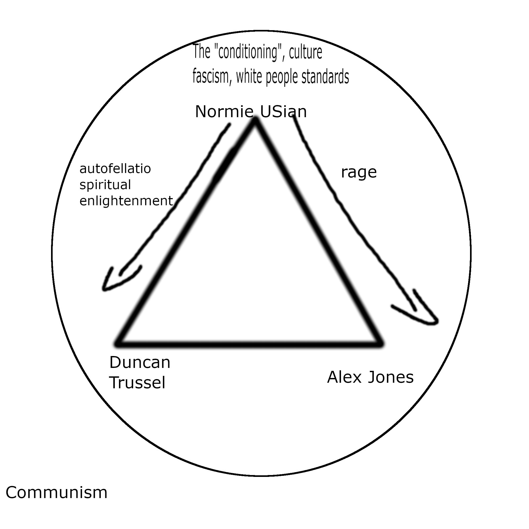 Chart legend: 

The circle: Within is the cultural prison of hegemony, the conditioning, any word you prefer for the standard that is violently enforced through tradition, law and other people 

The triangle inside the circle: On top: Normie USian

 Left-side path: "Autofellatio spiritual enlightenment"

 Bottom left corner: Duncan Trussel

Right-side path: "rage"

Bottom right corner: Alex Jones

Outside of the circle we see communism