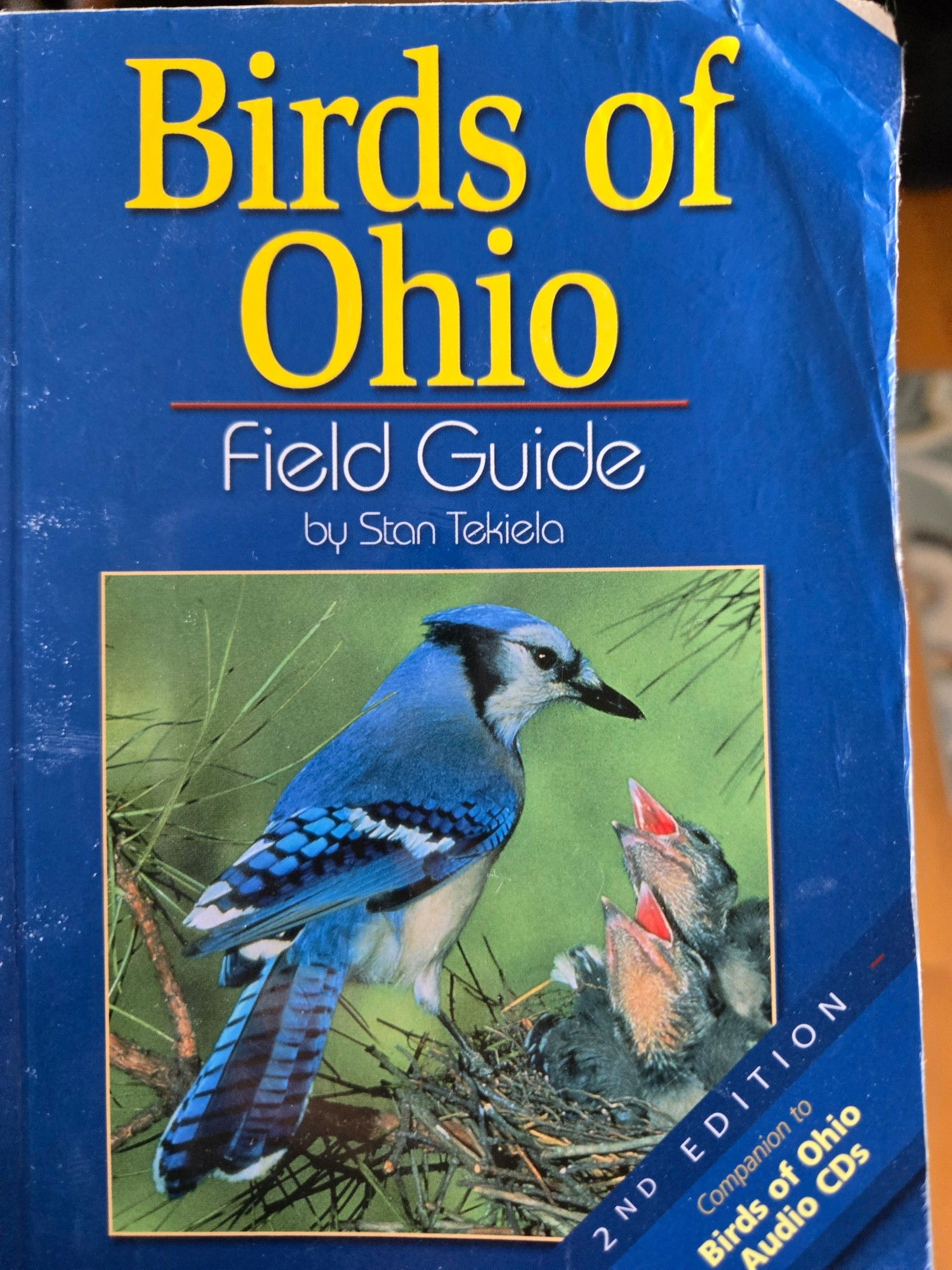 A book
Birds of Ohio
Field Guide
By Stan Tekeila

Thr cover has an adult blue jay sitting over two baby birds, mouths ajar