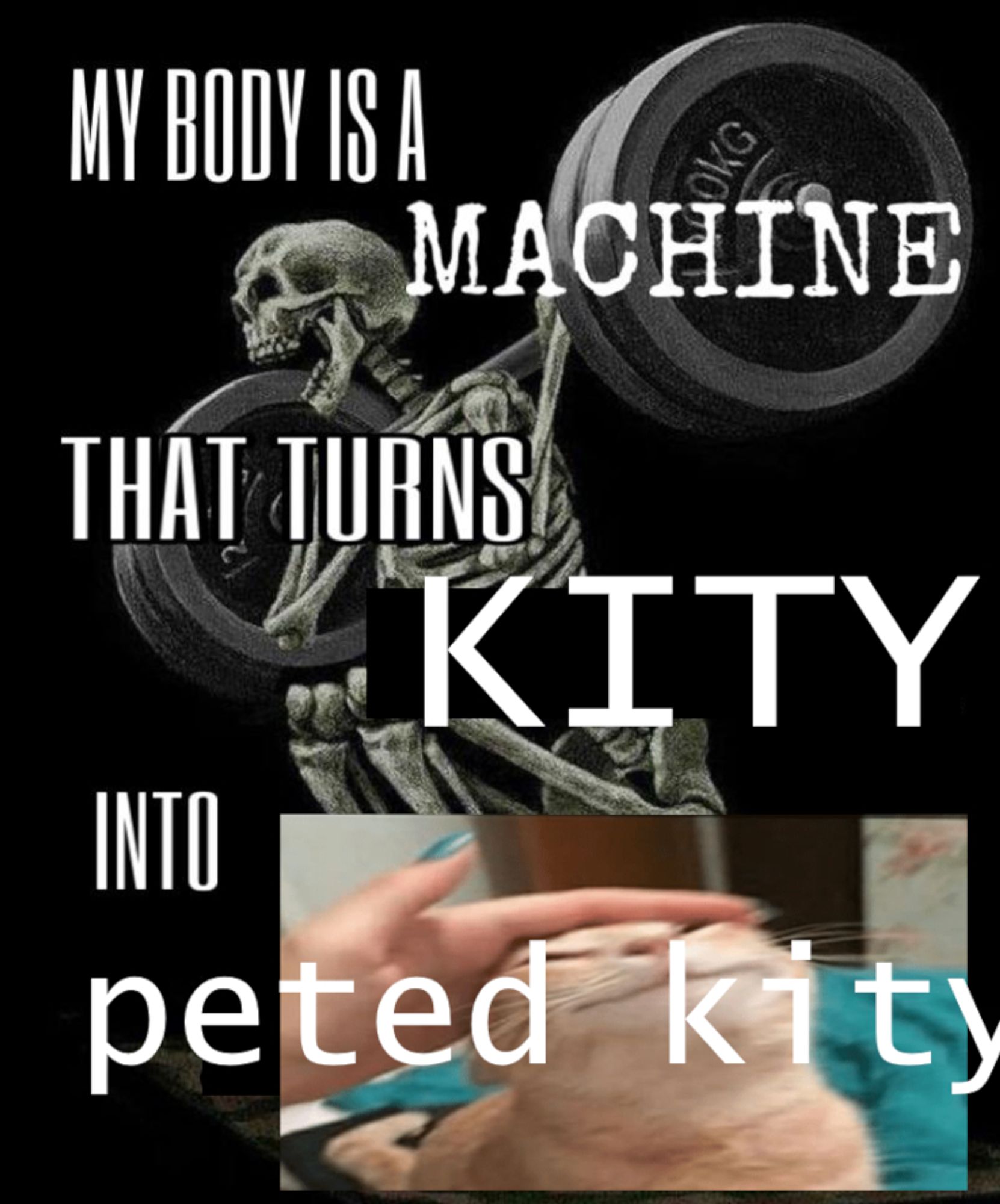 skeleton lifting weights meme with text "my body is a machine that turns kity into peted kity" and a picture of a cat being pet in the corner