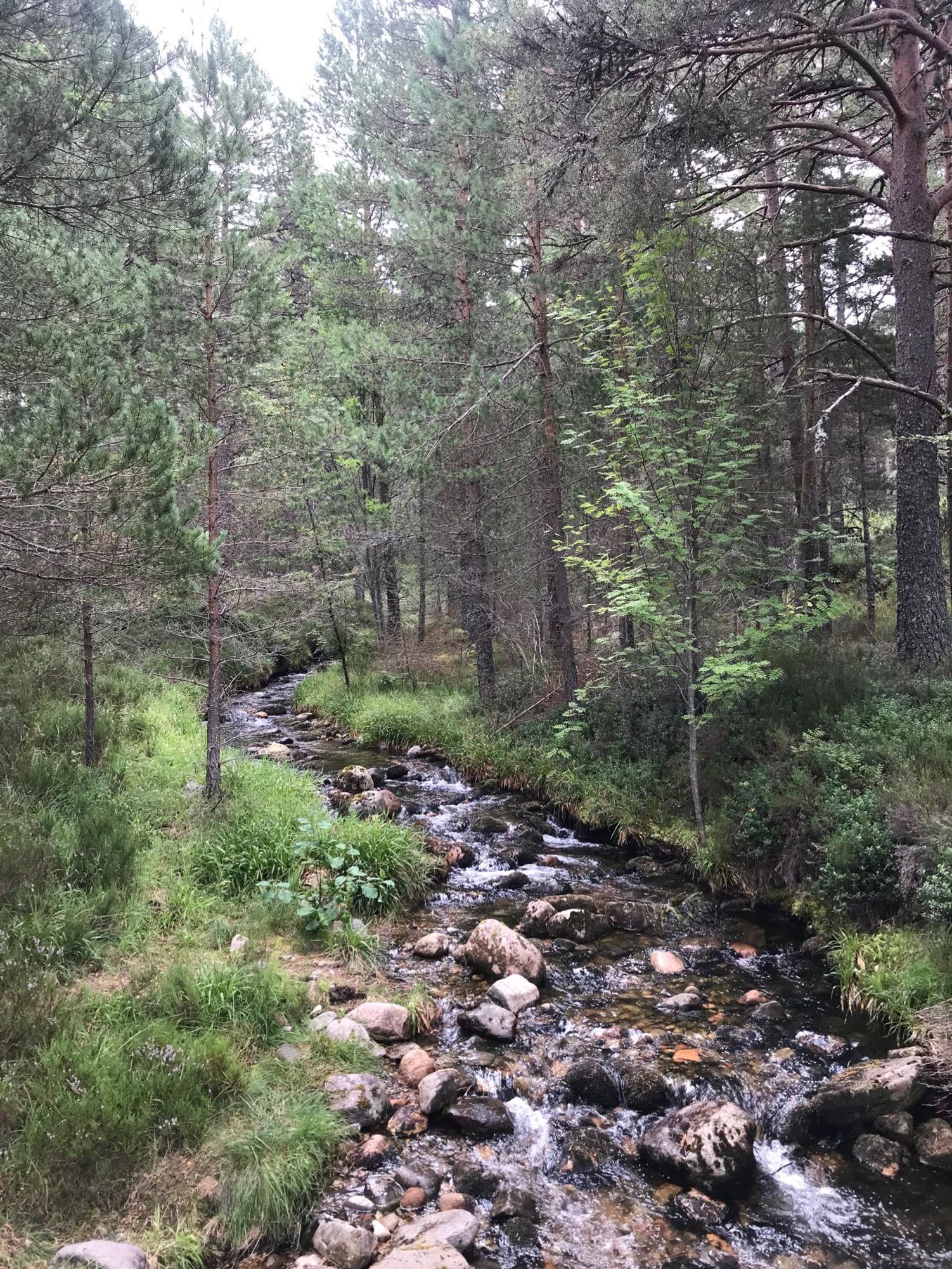 A rocky beck near Loch An Uaine