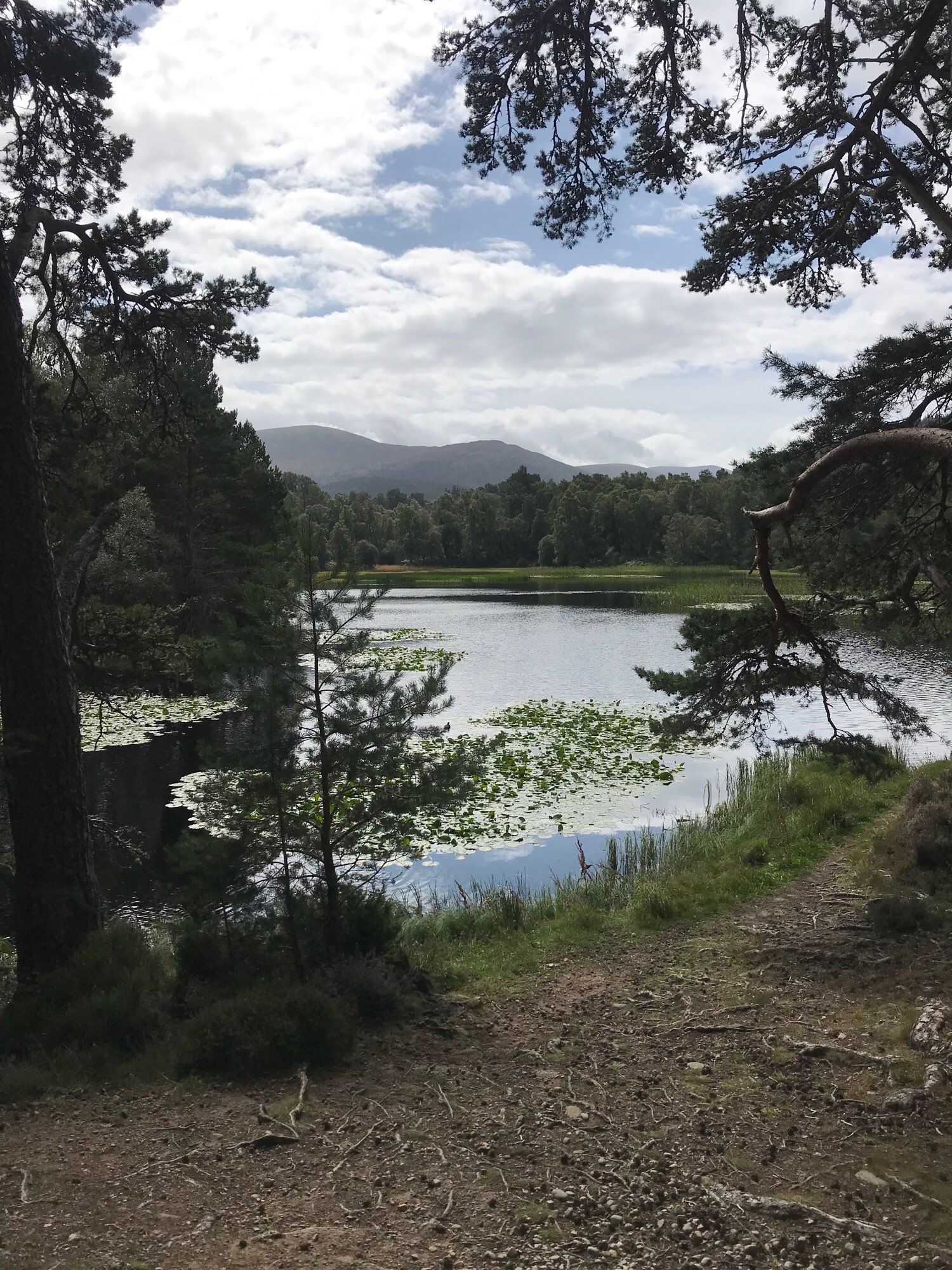 A landscape shot of a small loch in Scotland with mountains rising up in the distance