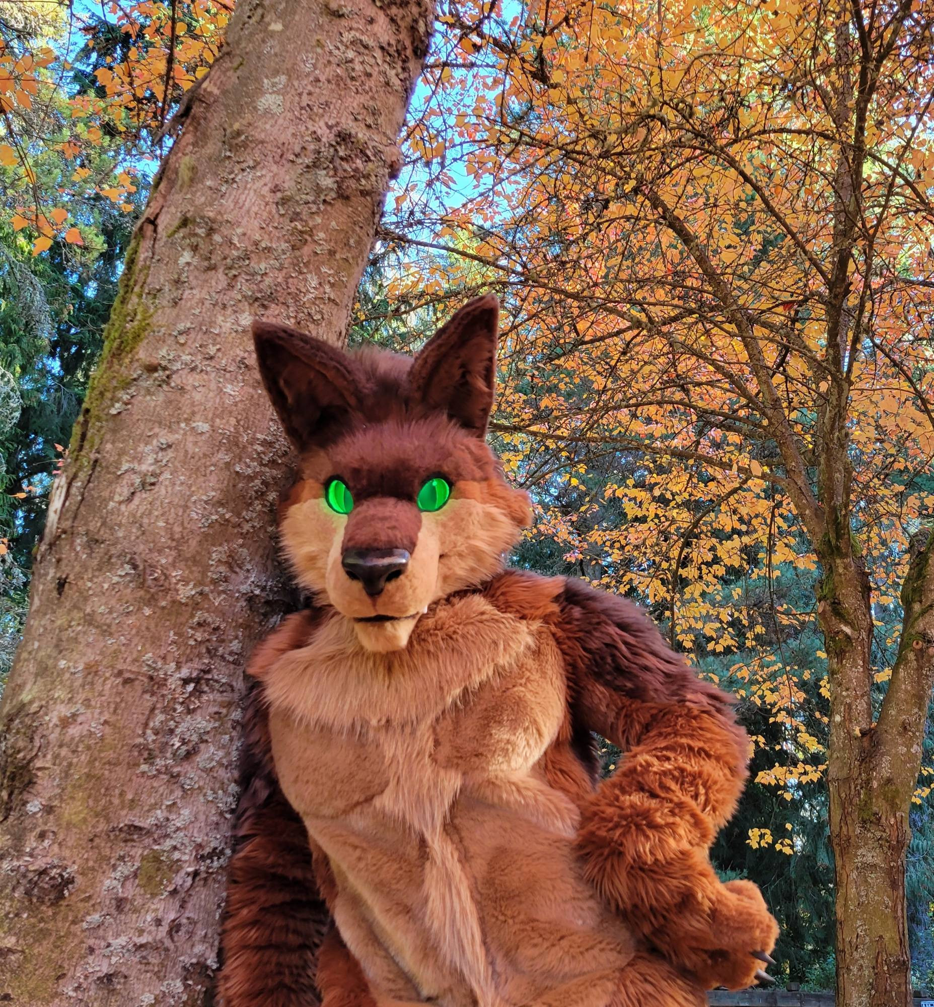 Brown werewolf fursuiter leaning against a tree, a hand on his hip