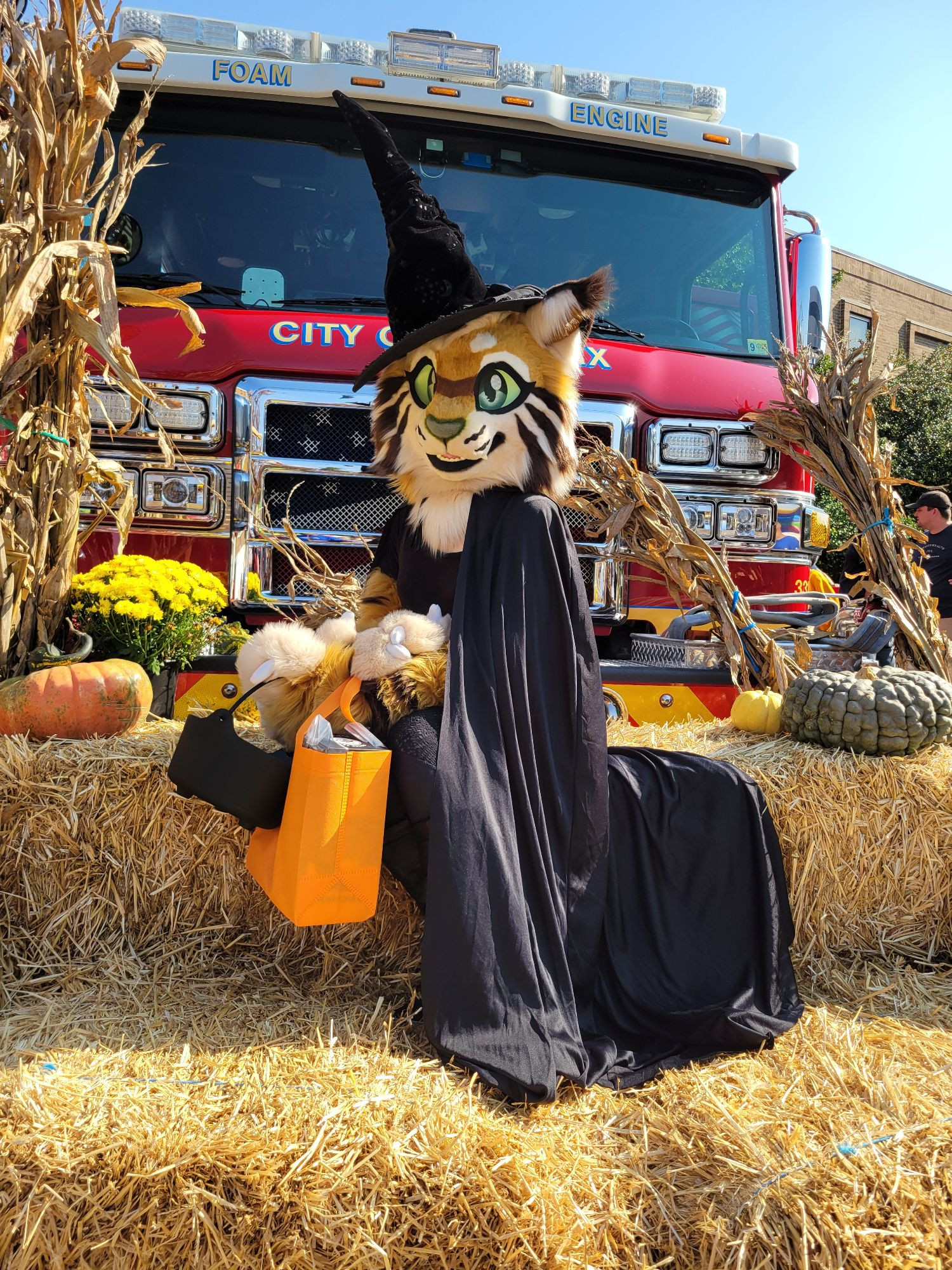 Tan bobcat fursuiter wearing a witch outfit sitting on some haybales. She's posing in front of a fire truck for a picture.