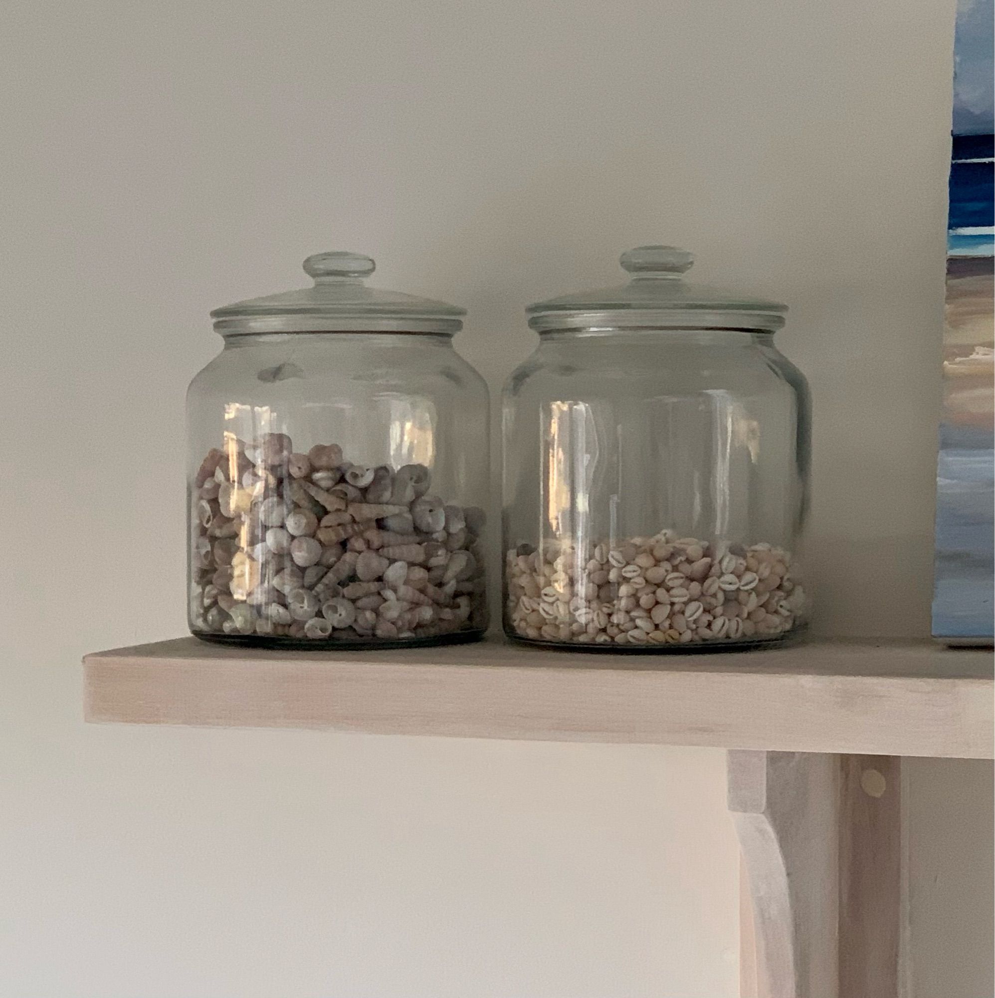 Picture of two glass jars on a pale washed wooden shelf, both filled with tiny shells.  The sunlight is kissing off the glass in reflection and the colours in the entire image are chalky and pastel.